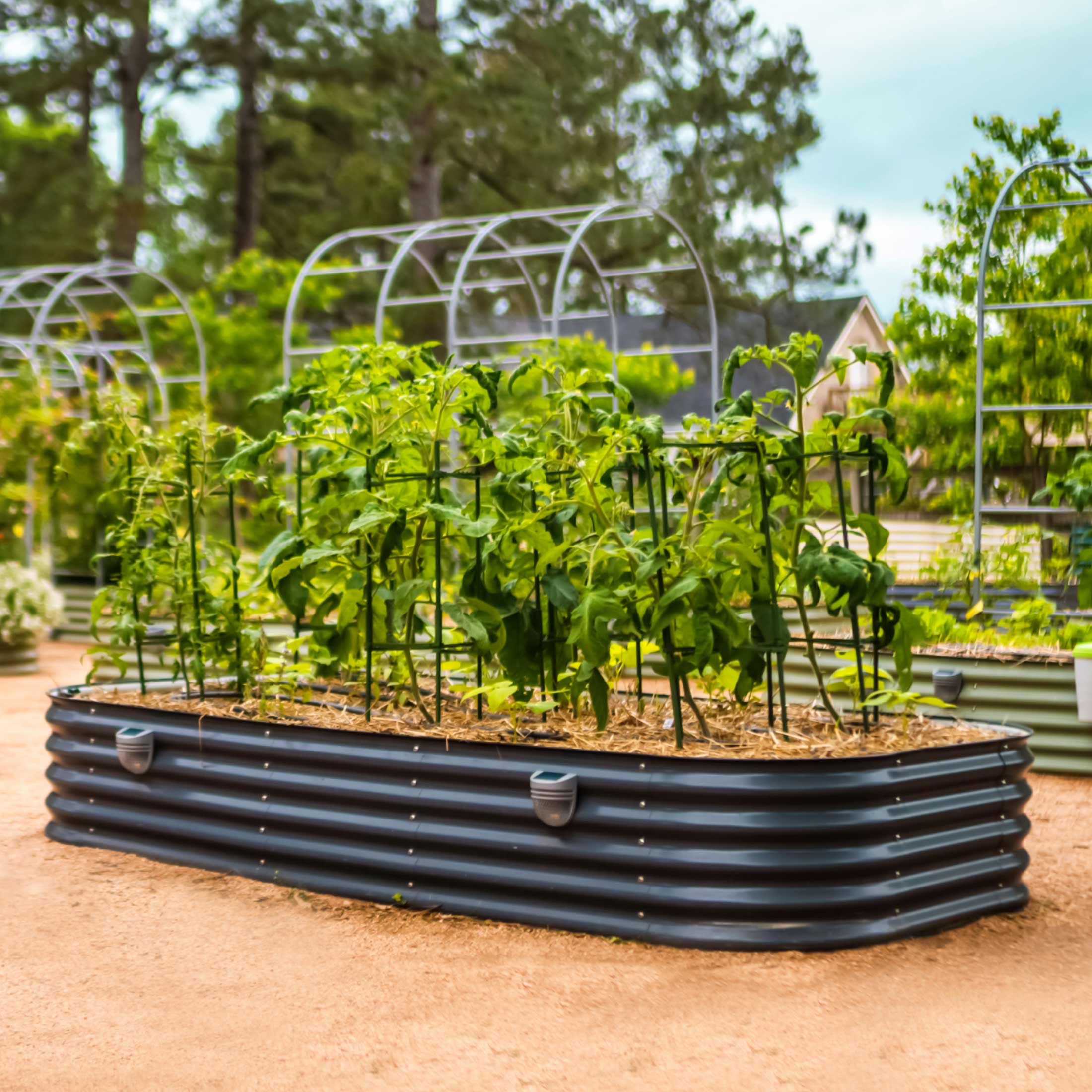17" Tall 10 In 1 Jumbo Modular Metal Raised Garden Bed Kit - Image 17
