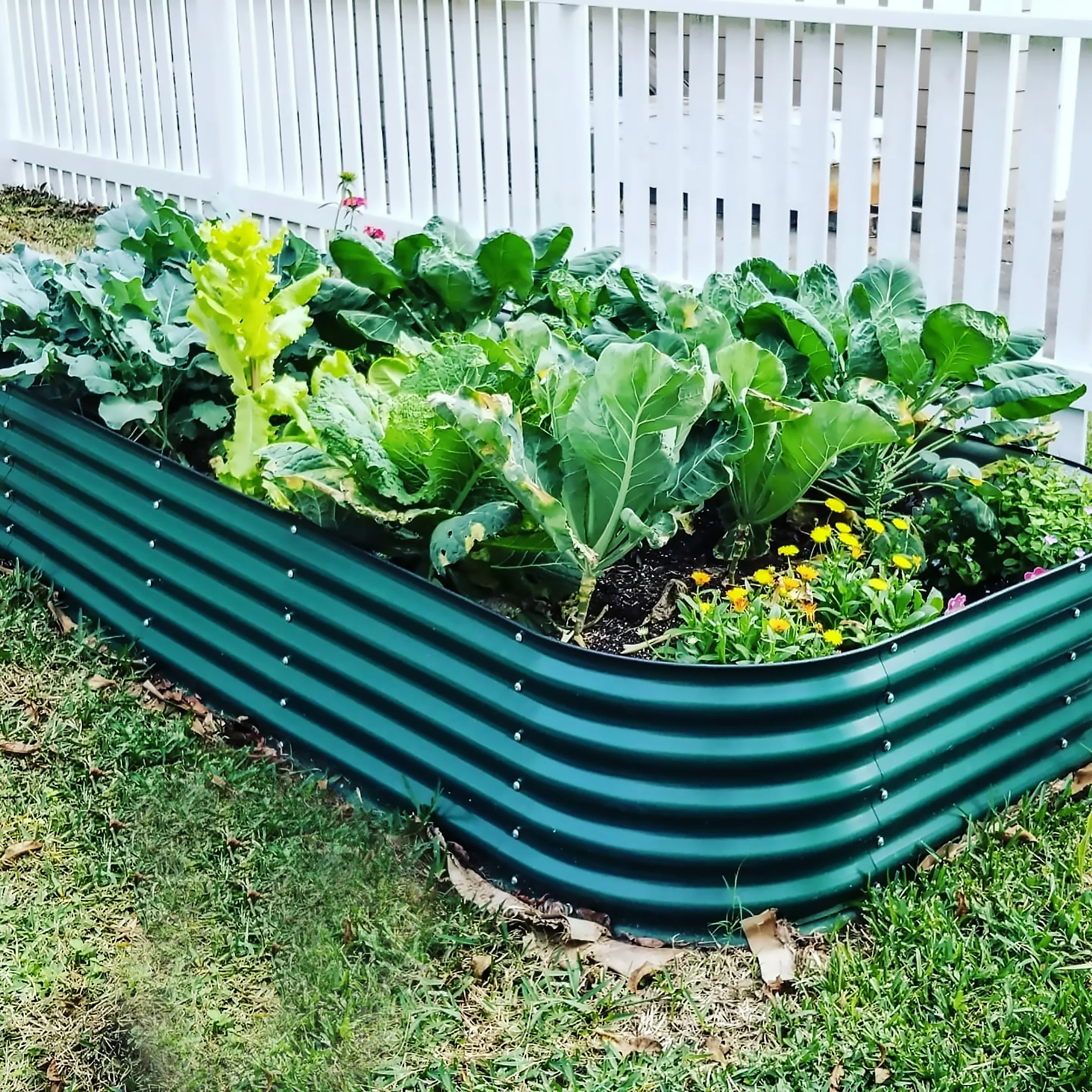 17" Tall 10 In 1 Jumbo Modular Metal Raised Garden Bed Kit - Image 20