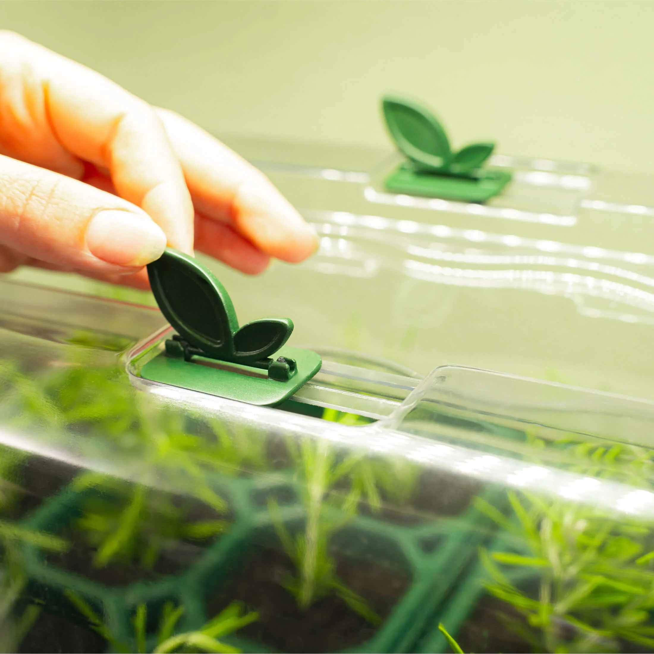 Seedling Humidity Dome - 10" x 20" - Image 3