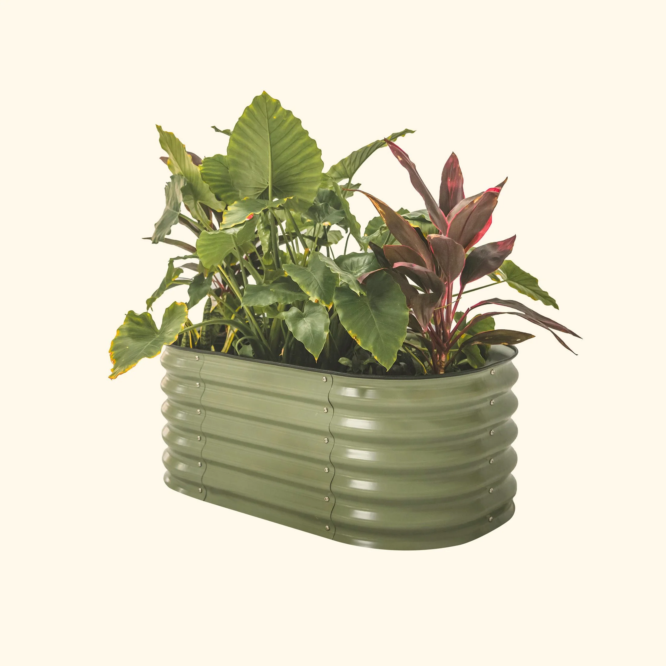 17" Tall Kids First Garden Bed 42" x 24" - Image 12