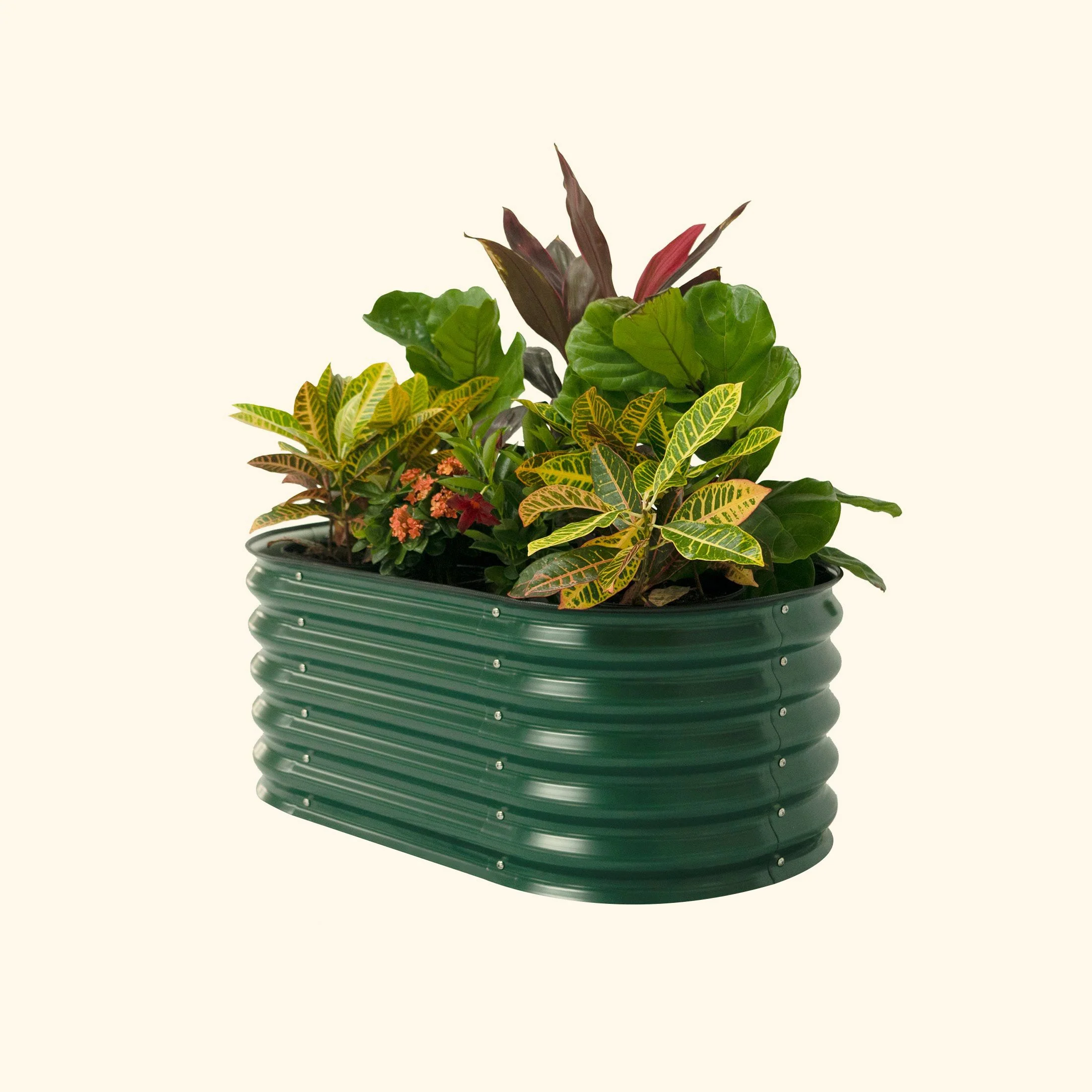 17" Tall Kids First Garden Bed 42" x 24" - Image 13