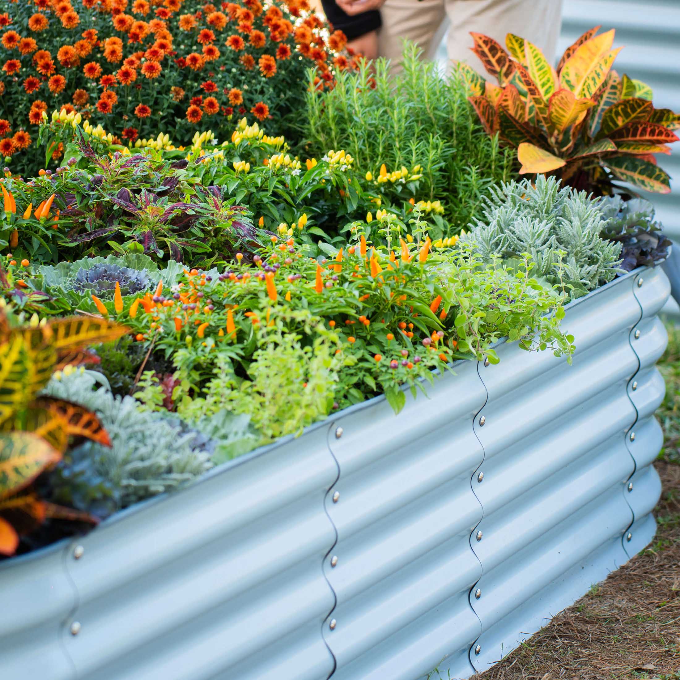 17" Tall 4 In 1 Small Modular Metal Raised Garden Bed Kit - Image 16