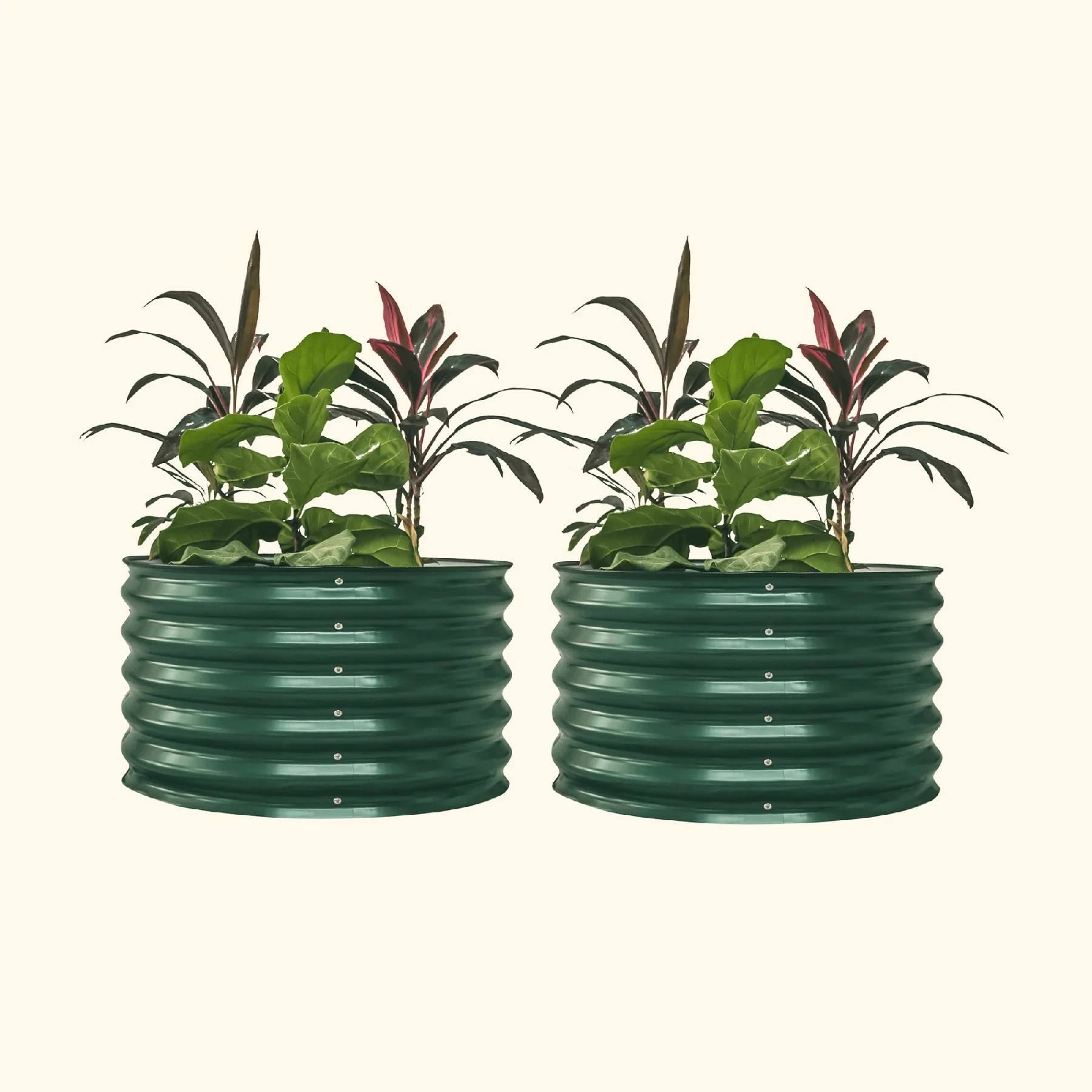 17" Tall Berry Garden Bed 30" Wide - Twin Pack - Image 2