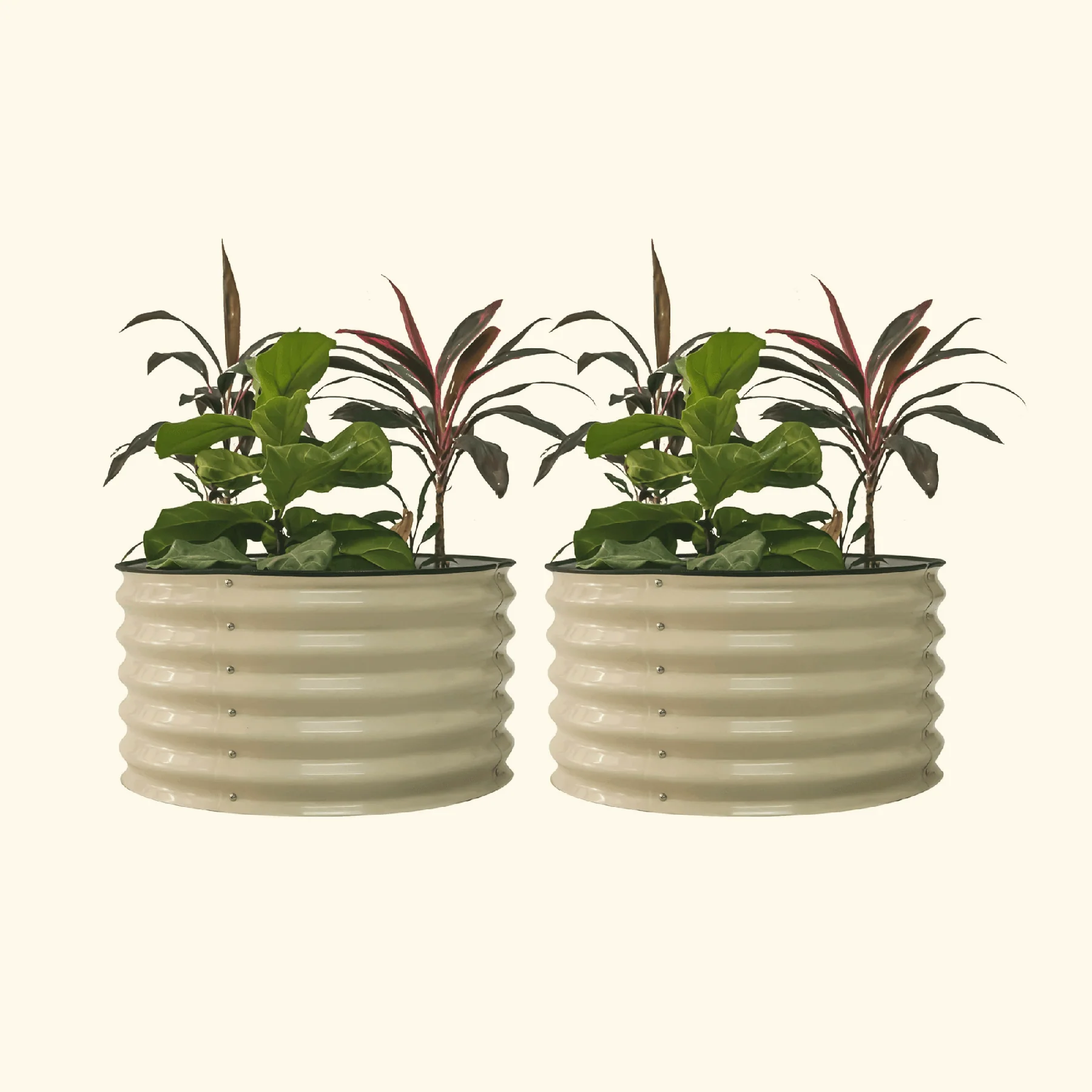 17" Tall Berry Garden Bed 30" Wide - Twin Pack - Image 3
