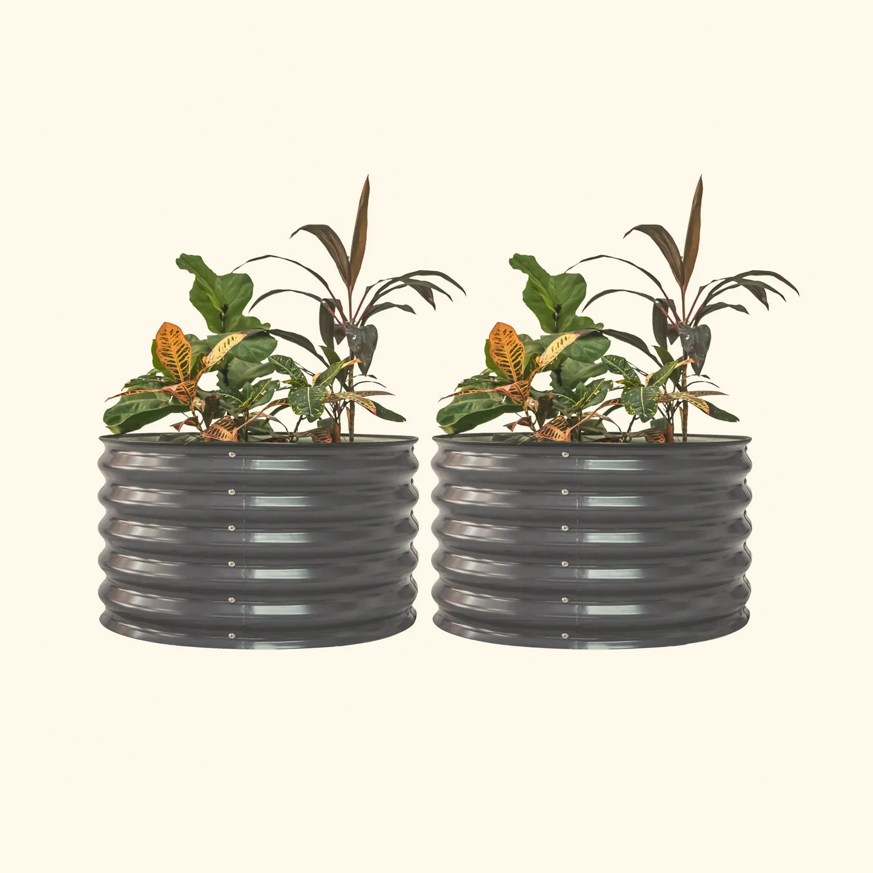 17" Tall Berry Garden Bed 30" Wide - Twin Pack - Image 4