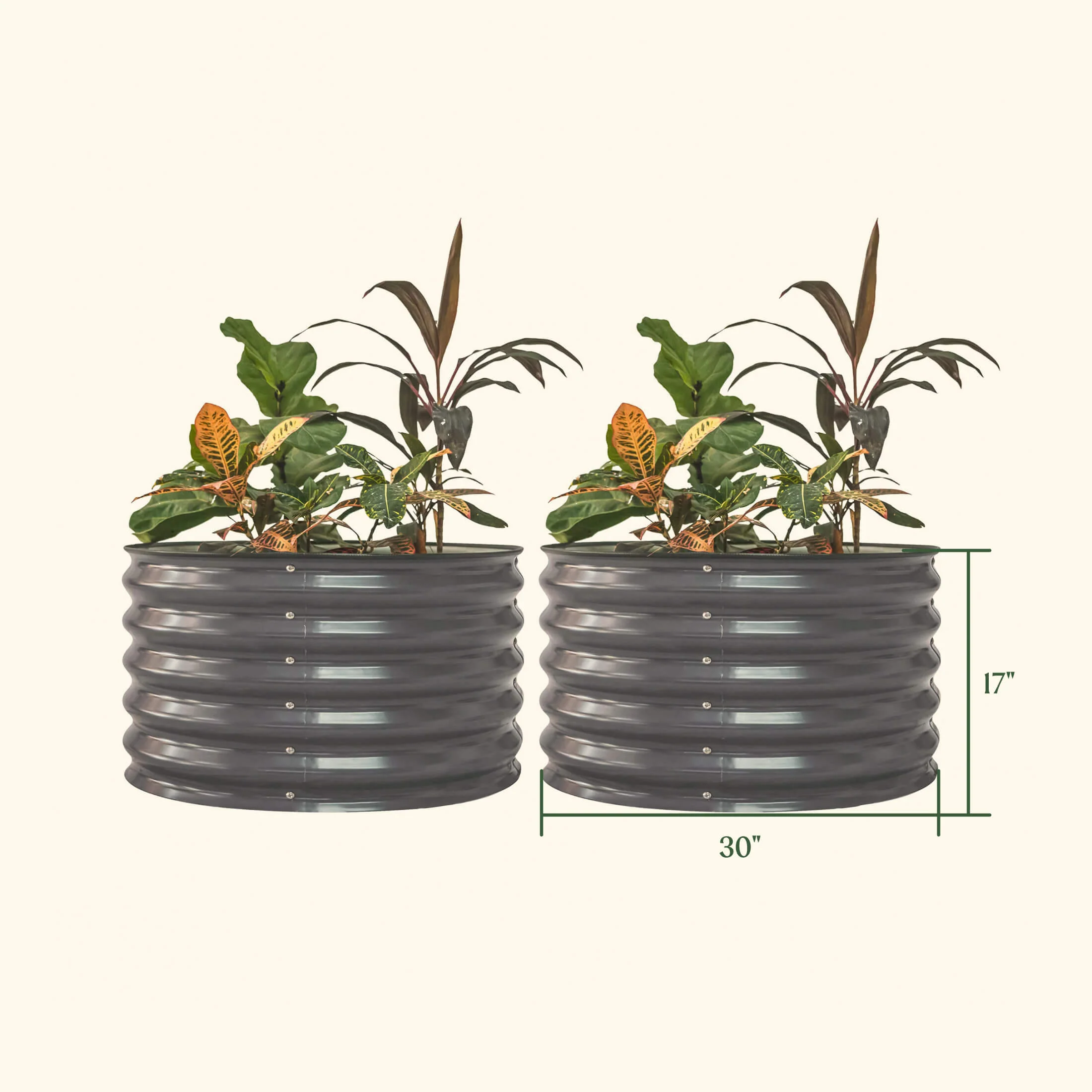 17" Tall Berry Garden Bed 30" Wide - Twin Pack - Image 5
