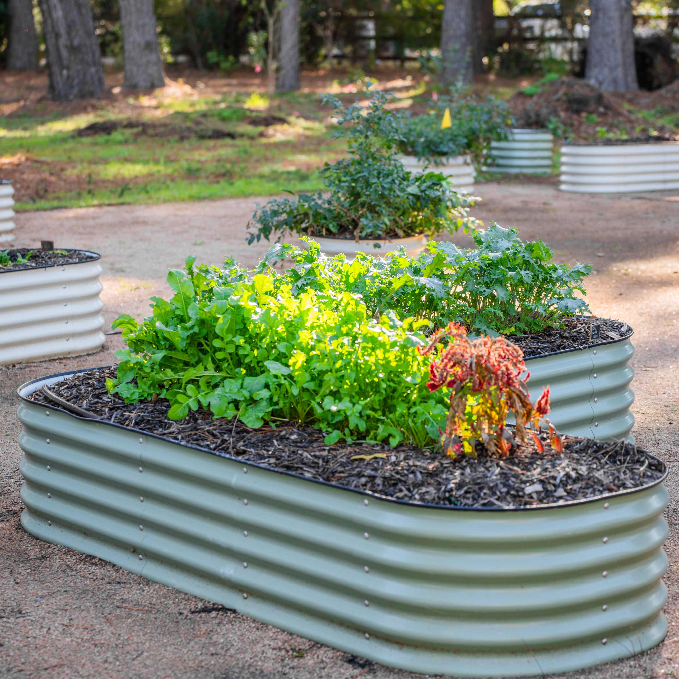 17" Tall L-Shaped Raised Garden Bed Kit - Large Size - Image 16