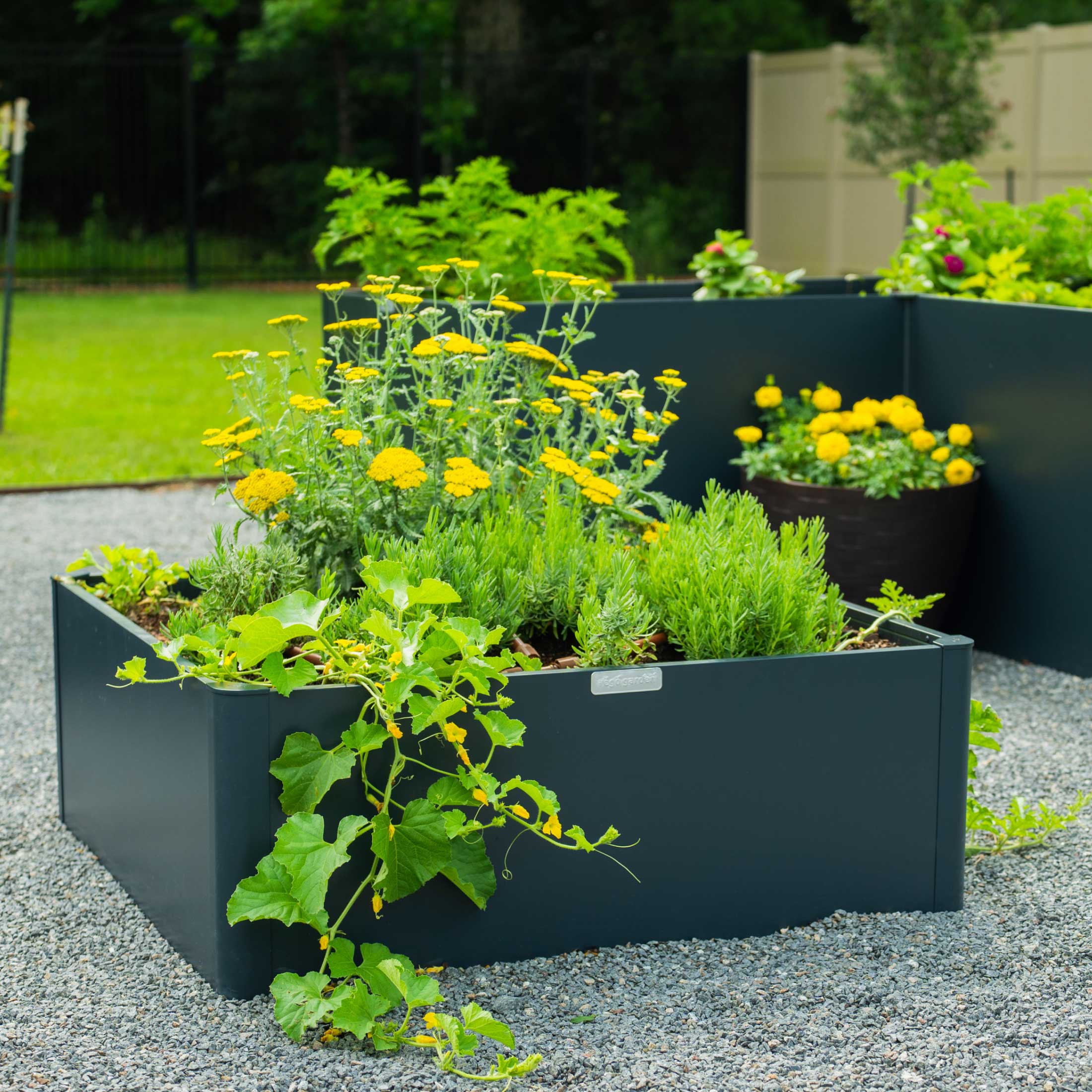 17" Tall Modern 42" x 42" Metal Raised Garden Bed - Image 10