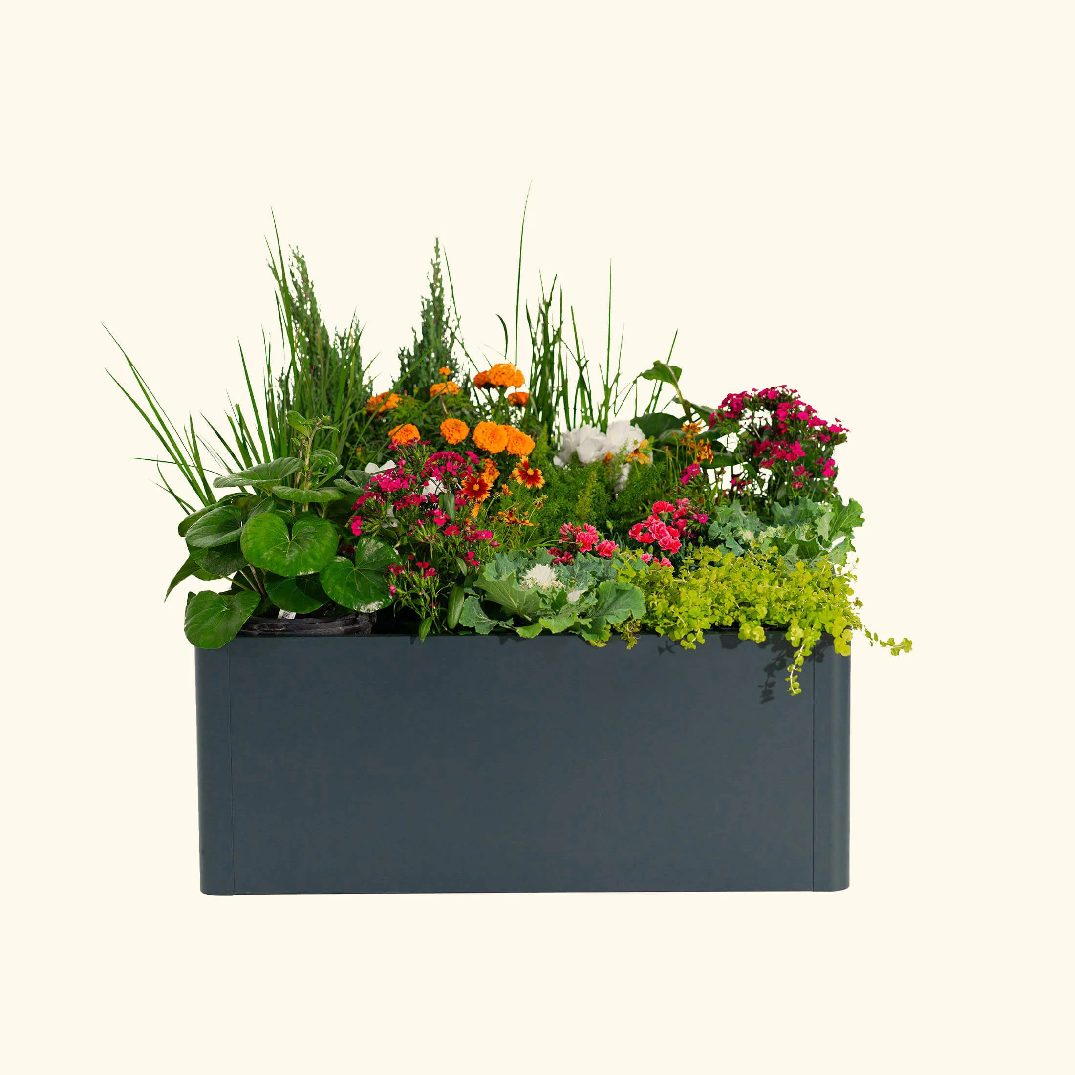 17" Tall Modern 42" x 83" Metal Raised Garden Bed - Image 21