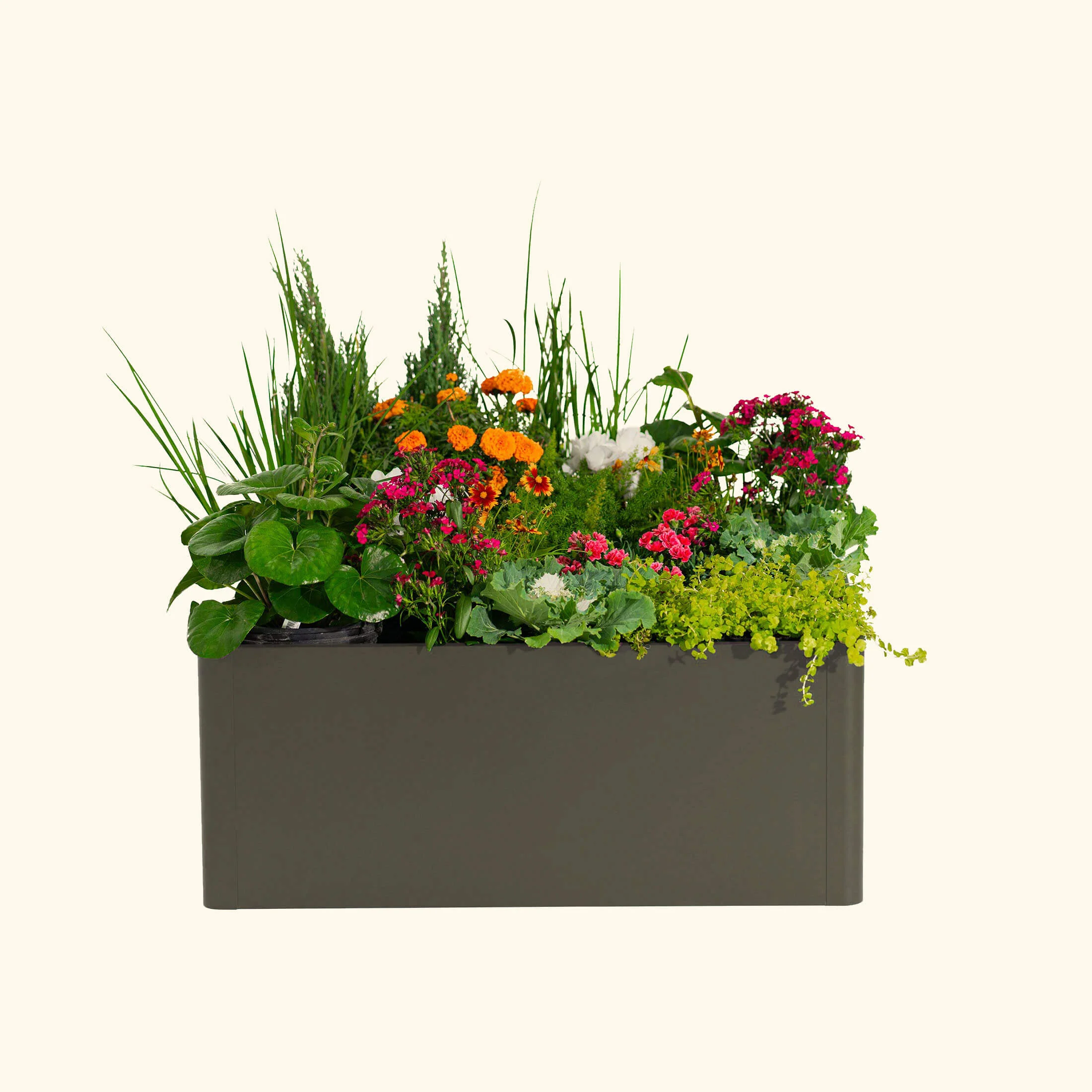 17" Tall Modern 42" x 83" Metal Raised Garden Bed - Image 23