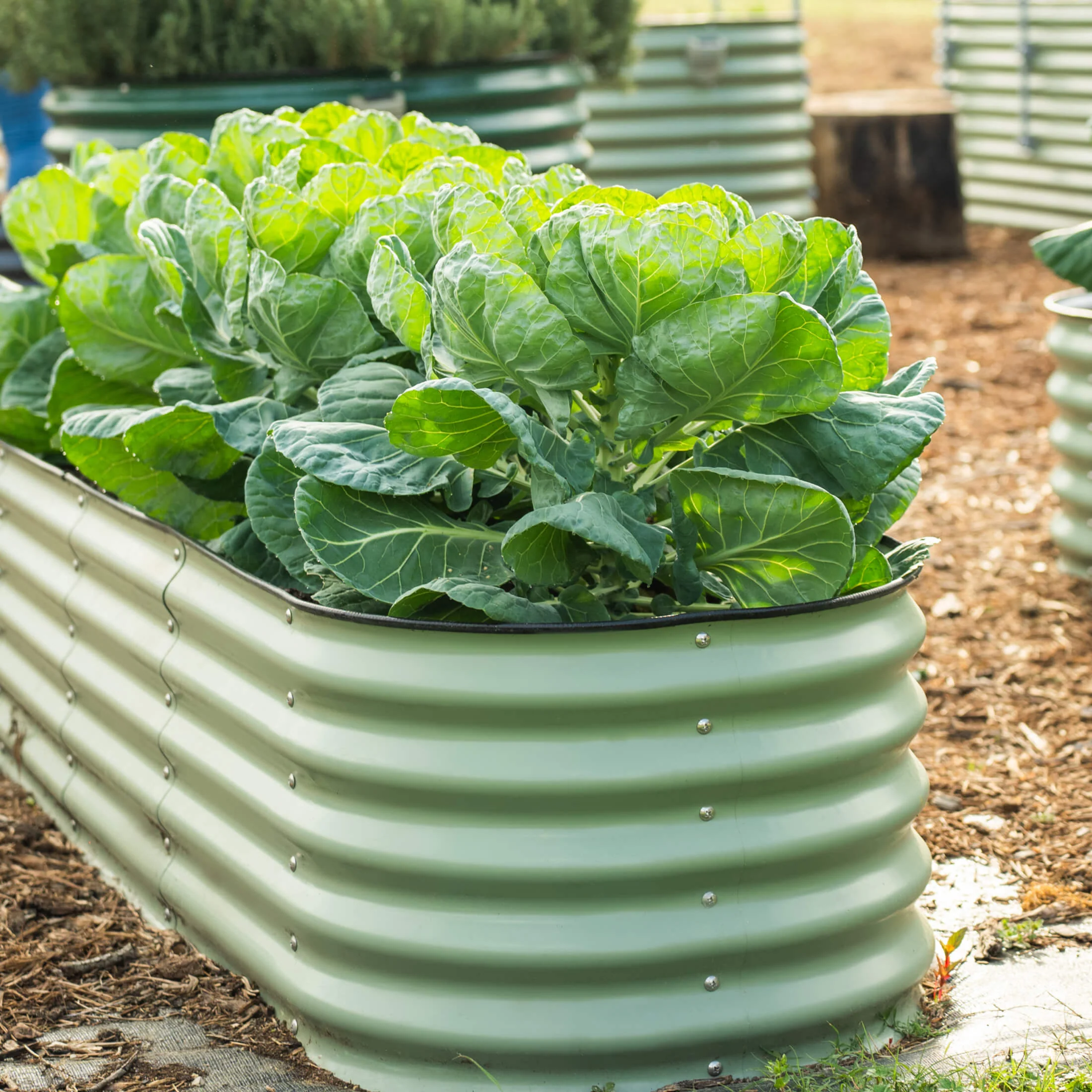 17" Tall X In 1 Giant Modular Metal Raised Garden Bed Kit - Image 11