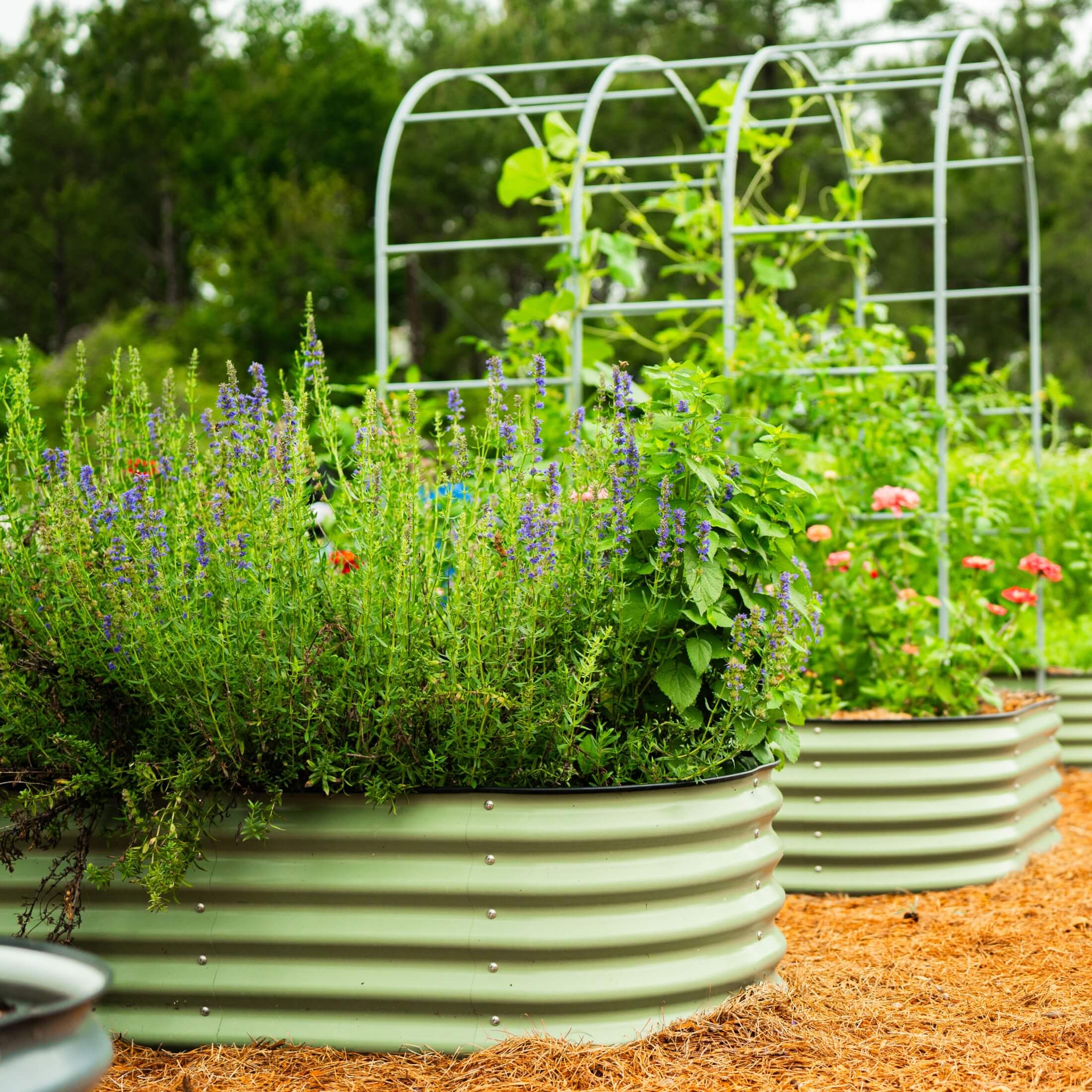 17" Tall X In 1 Giant Modular Metal Raised Garden Bed Kit - Image 13