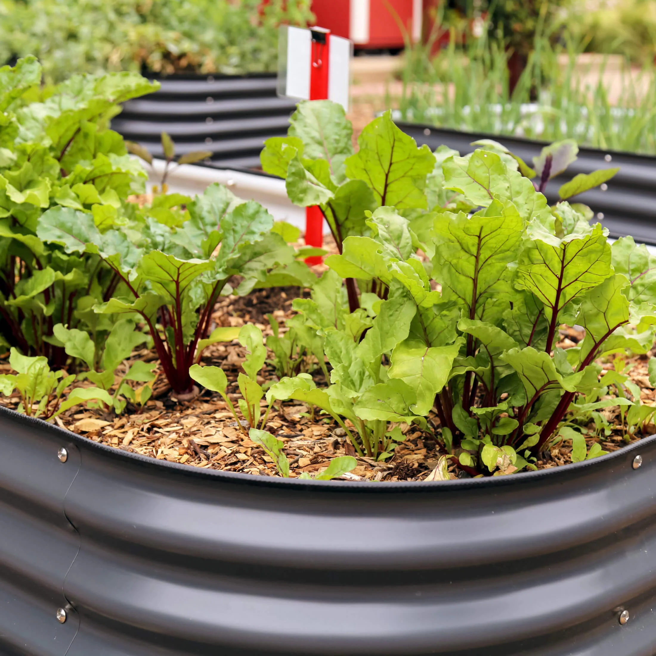 26" Tall 10 In 1 Jumbo Modular Metal Raised Garden Bed Kit - Image 13