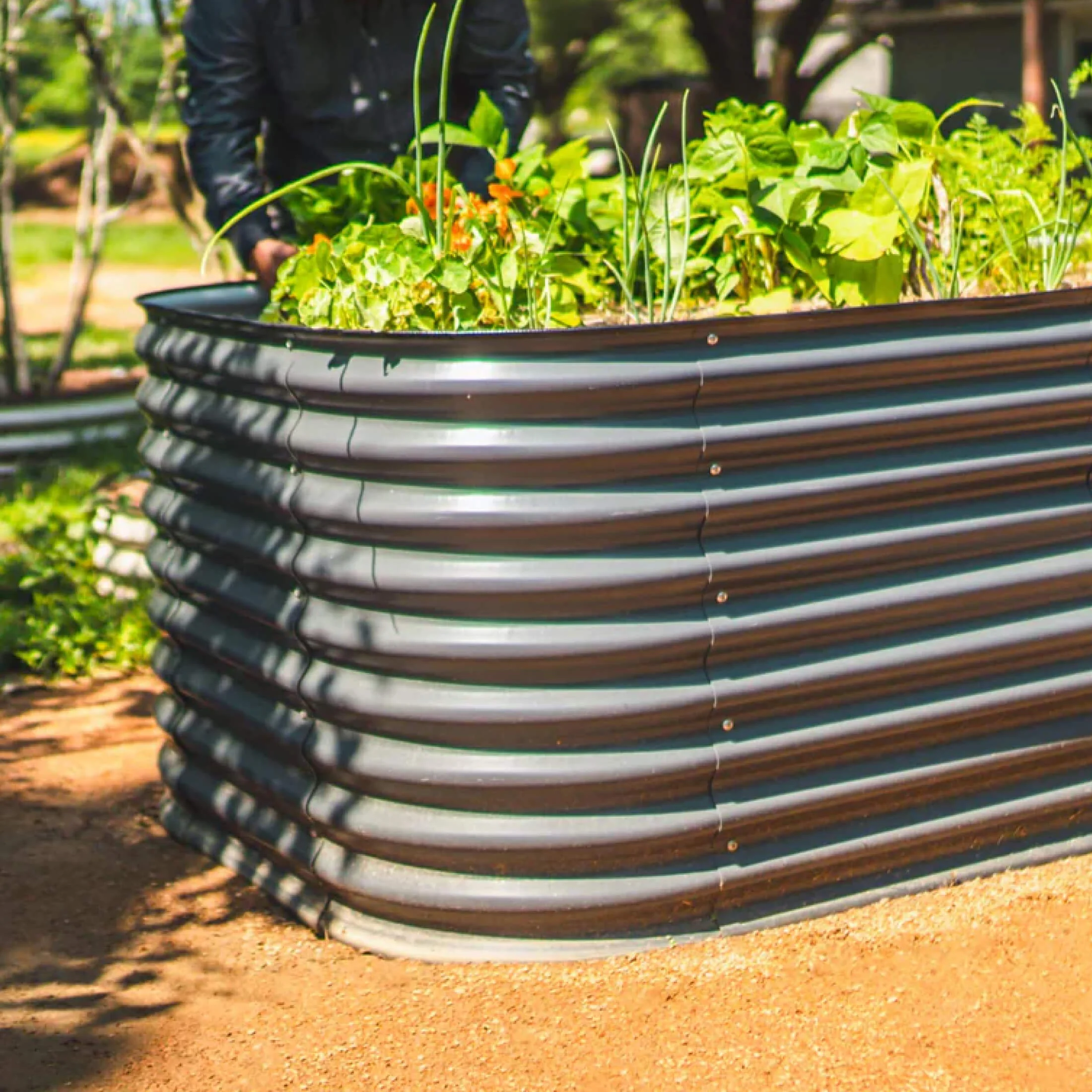 32" Extra Tall 10 In 1 Jumbo Modular Metal Raised Garden Bed Kit - Image 17