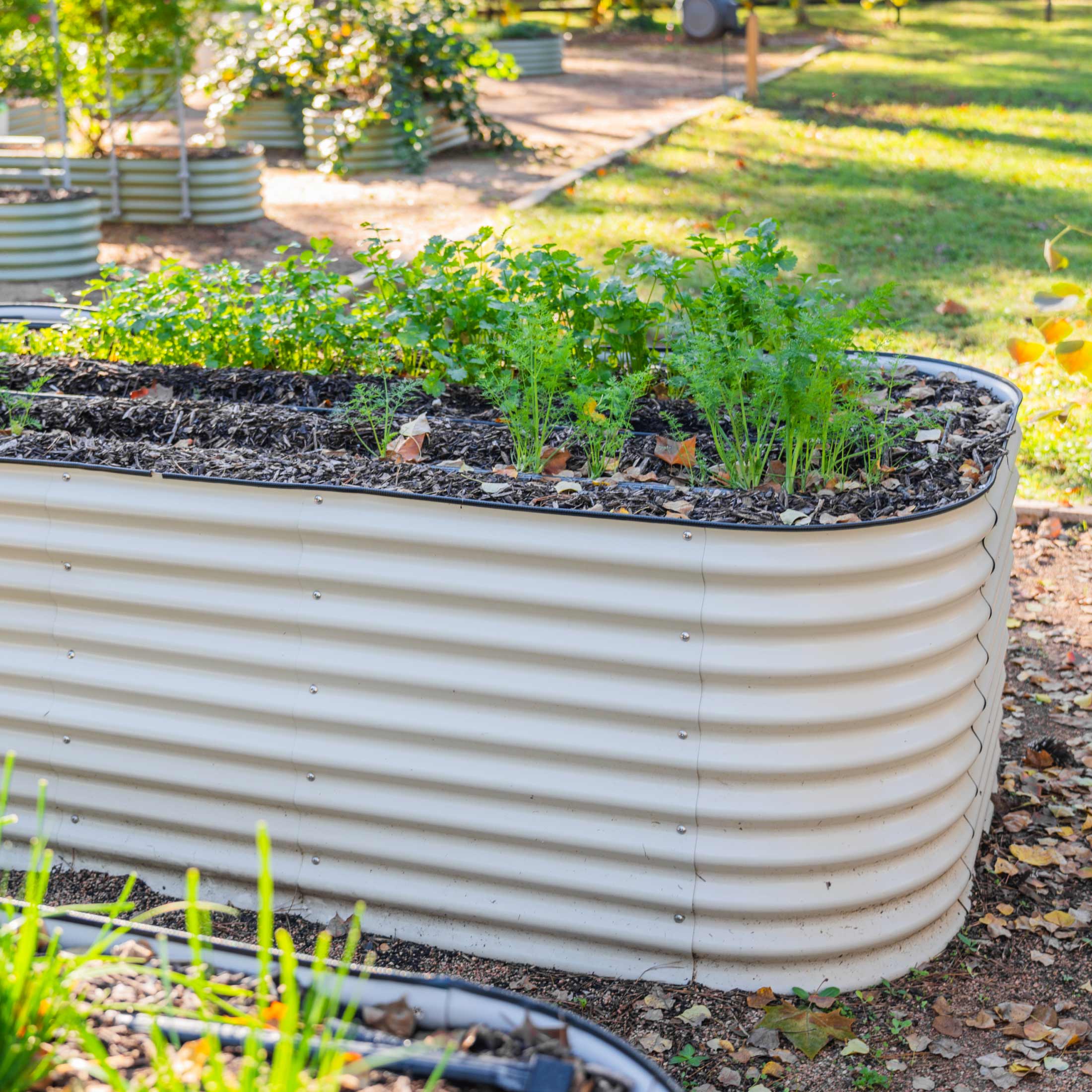 32" Extra Tall 10 In 1 Jumbo Modular Metal Raised Garden Bed Kit - Image 18