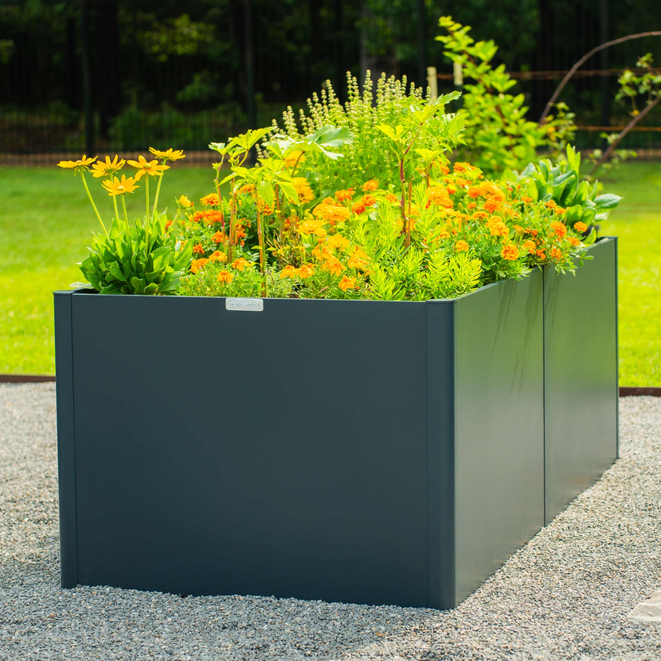 32" Extra Tall Modern 42" x 83" Metal Raised Garden Bed - Image 14