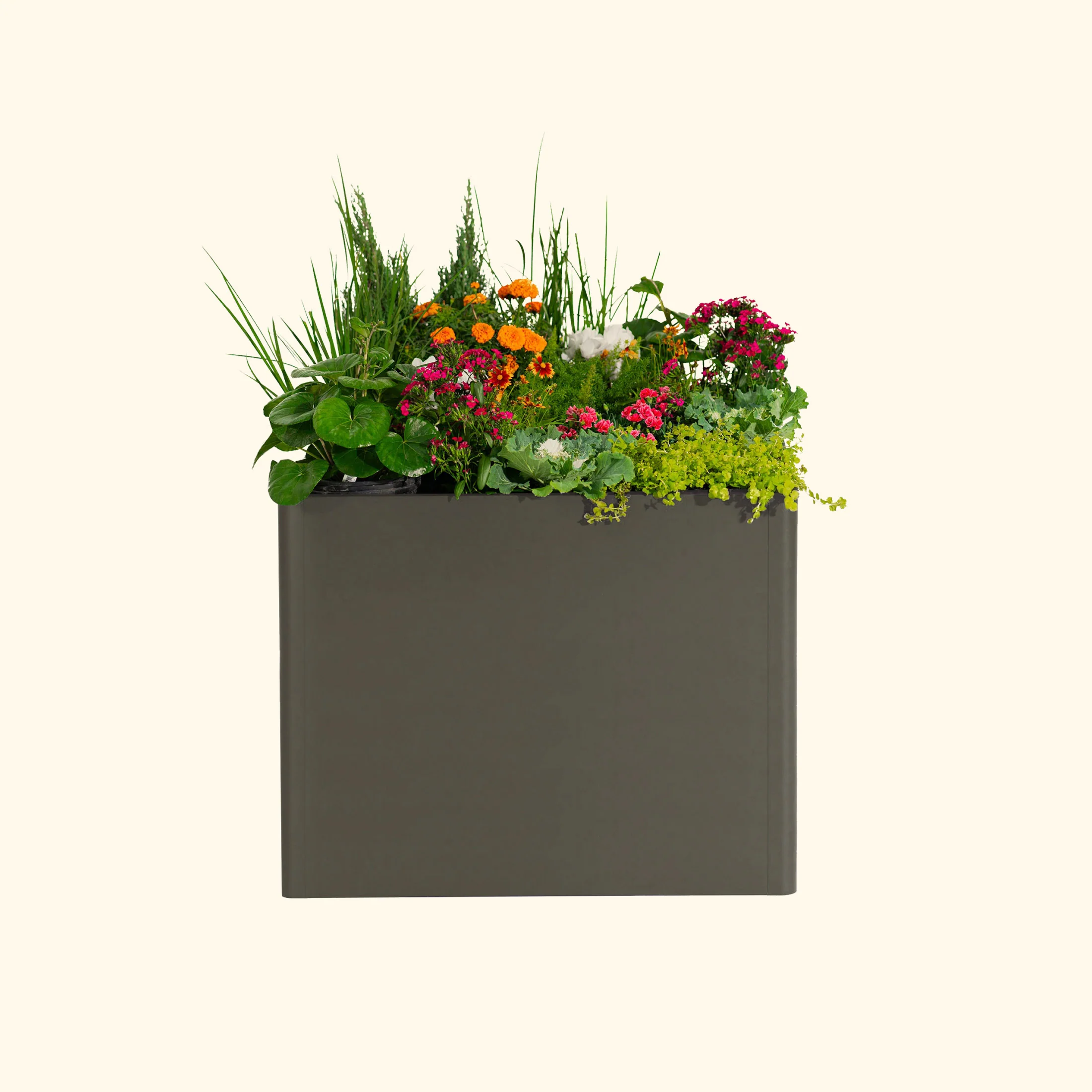 32" Extra Tall Modern 42" x 83" Metal Raised Garden Bed - Image 25