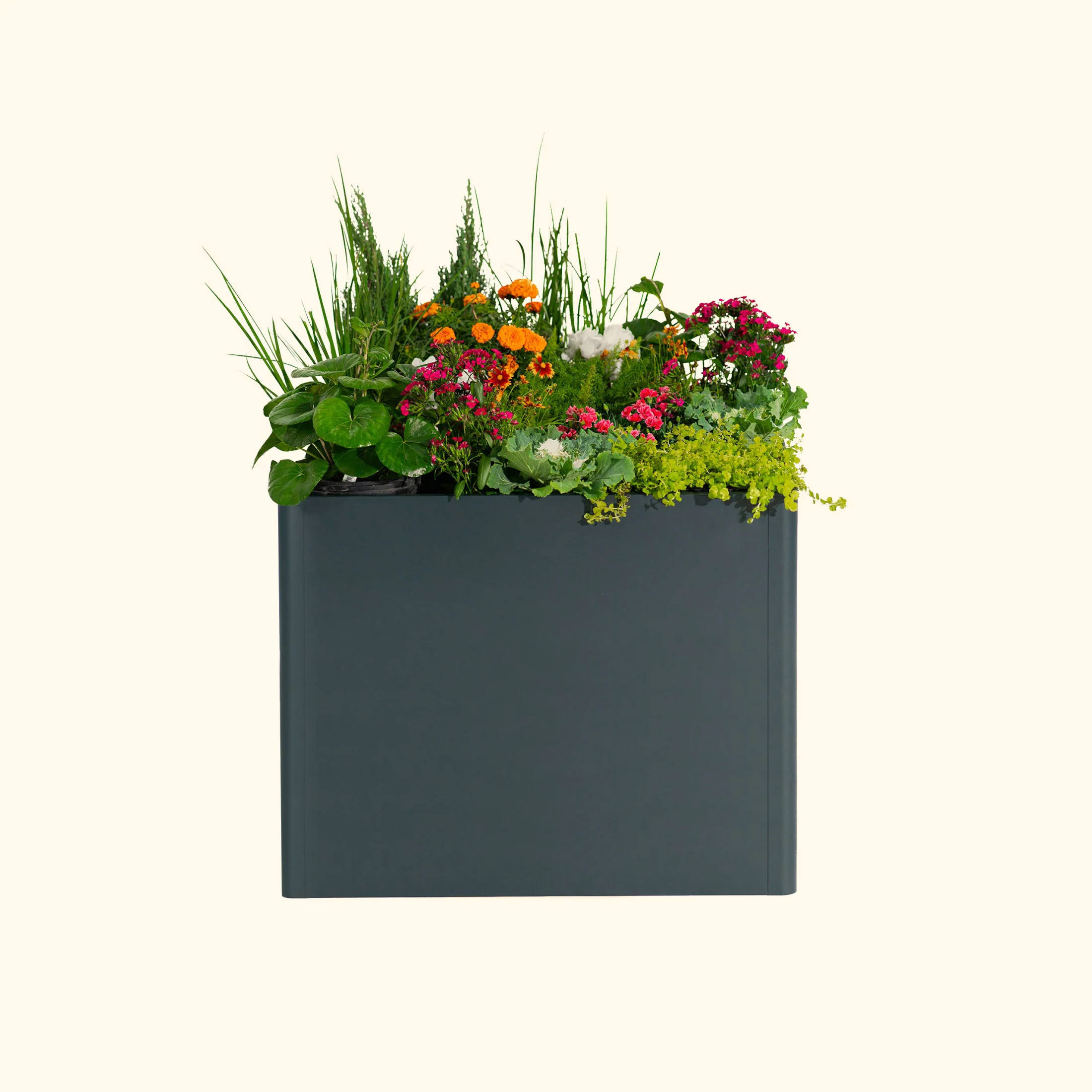 32" Extra Tall Modern 42" x 83" Metal Raised Garden Bed - Image 9