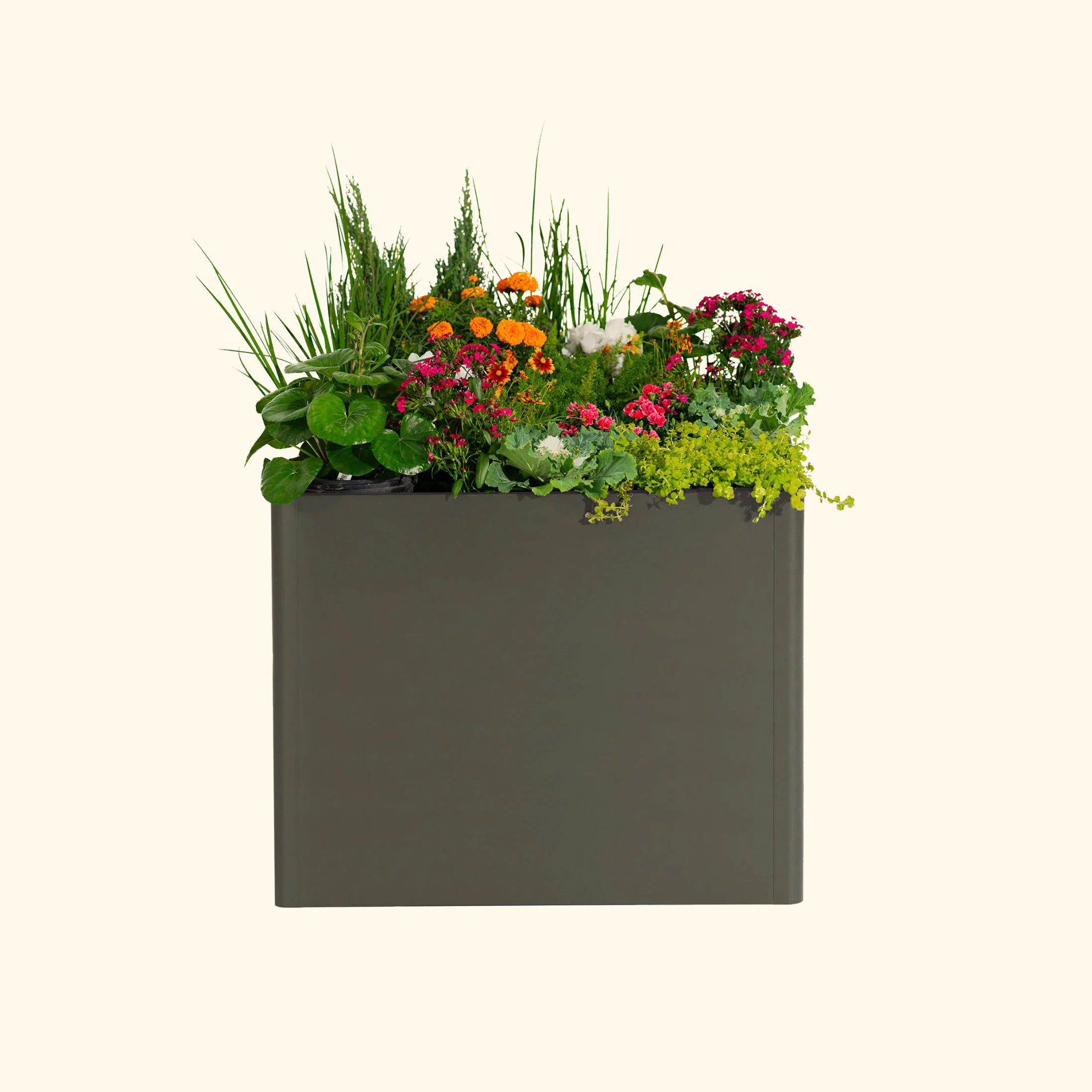 32" Extra Tall Modern 42" x 42" Metal Raised Garden Bed - Image 20