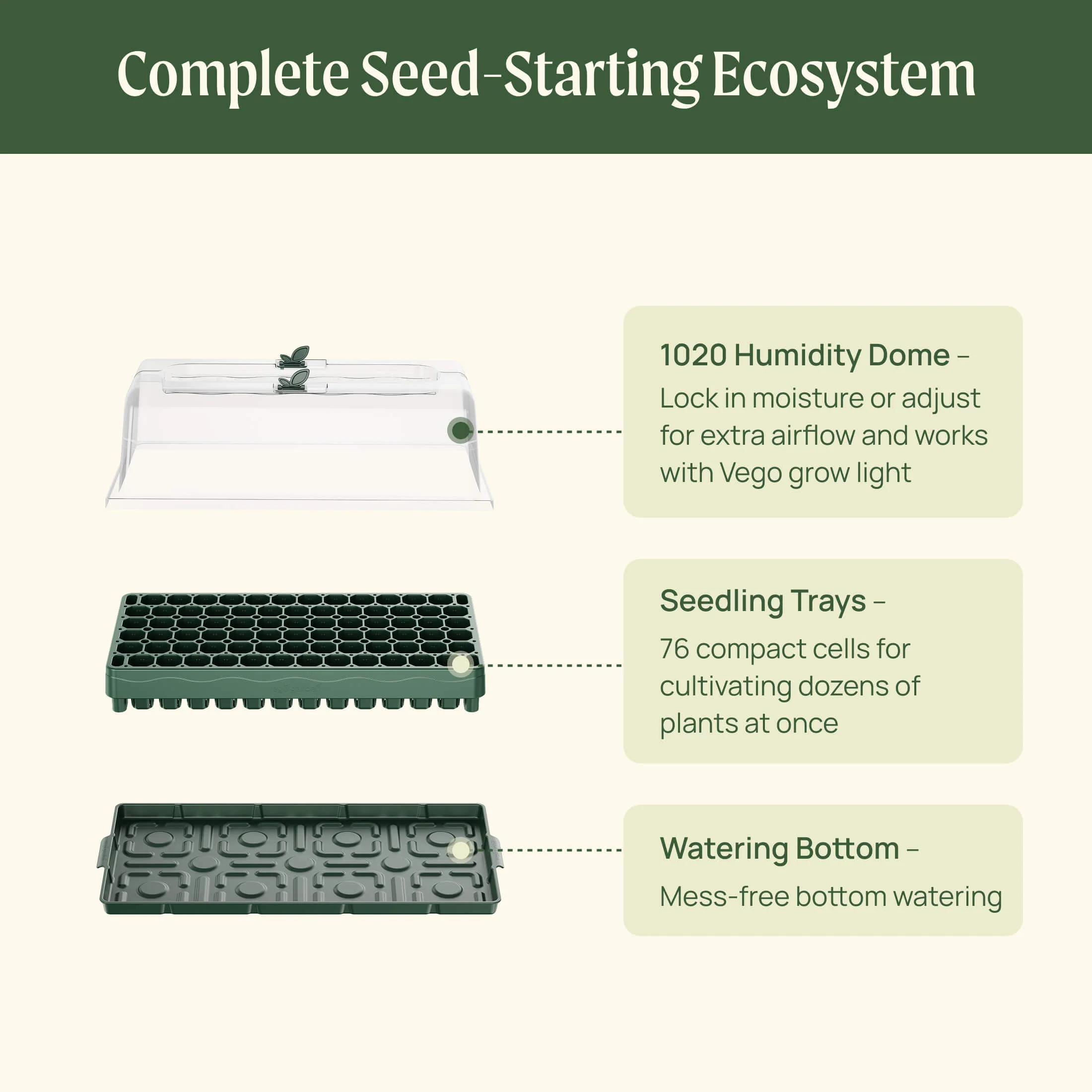 76 Cell 1020 Germination Cell Bundle - Image 6