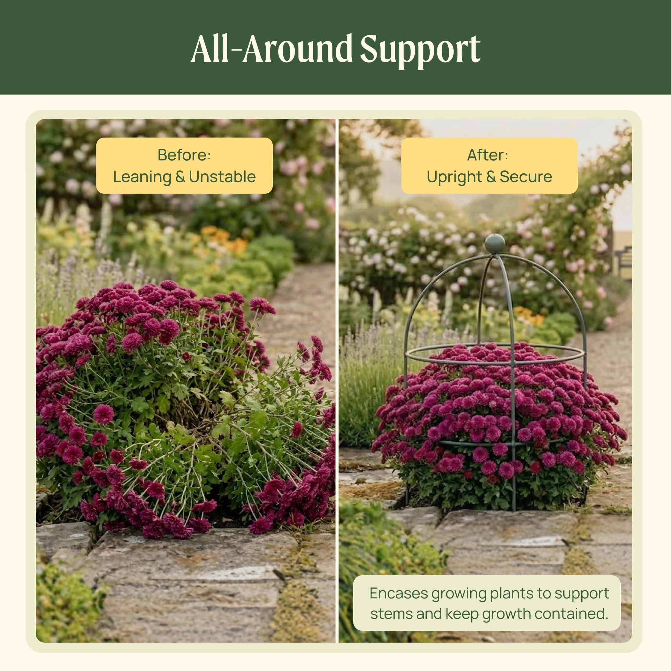 Birdcage Trellis - 2 Pack - Image 10