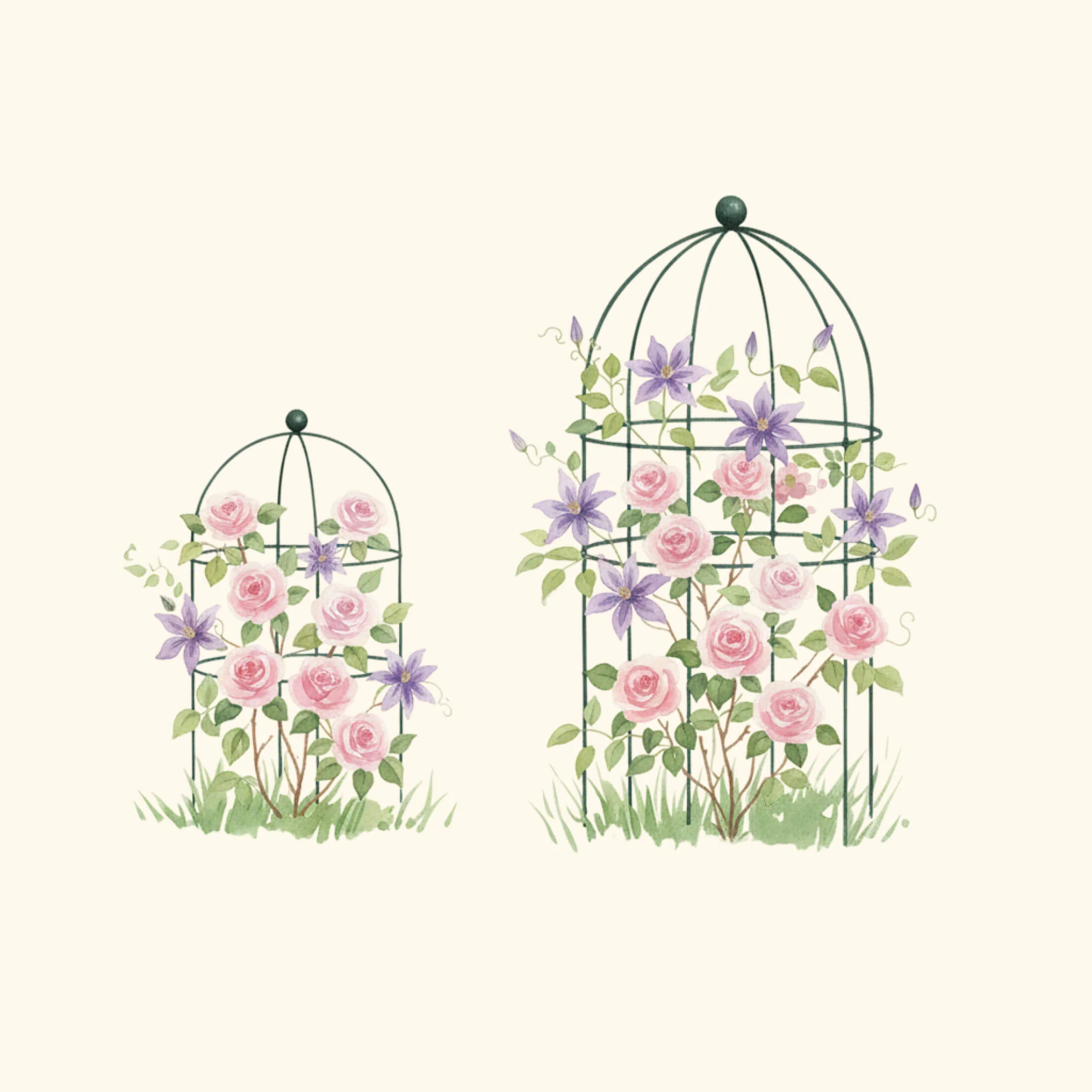 Birdcage Trellis - 2 Pack - Image 4