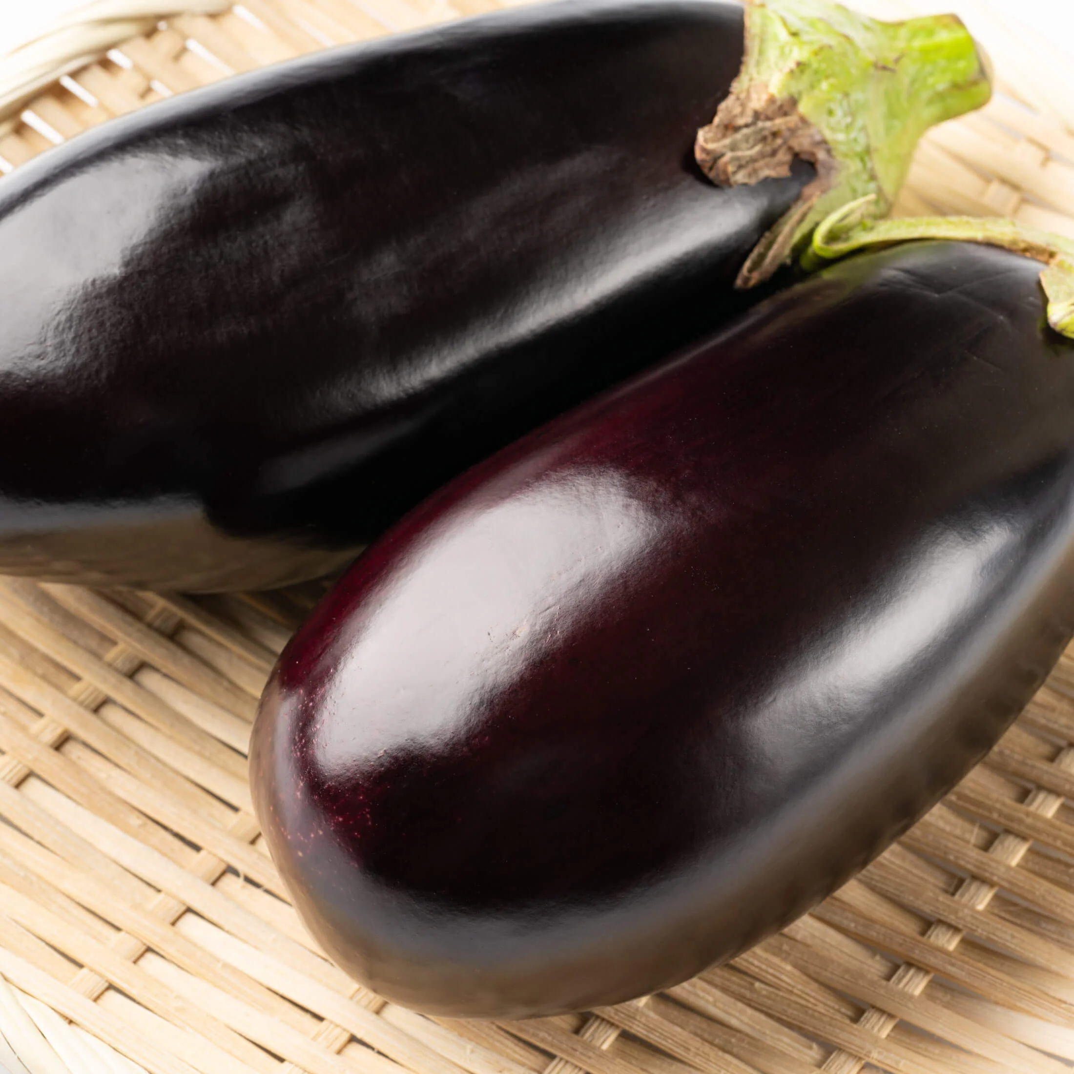 Black Beauty Eggplant Seedling - Image 5