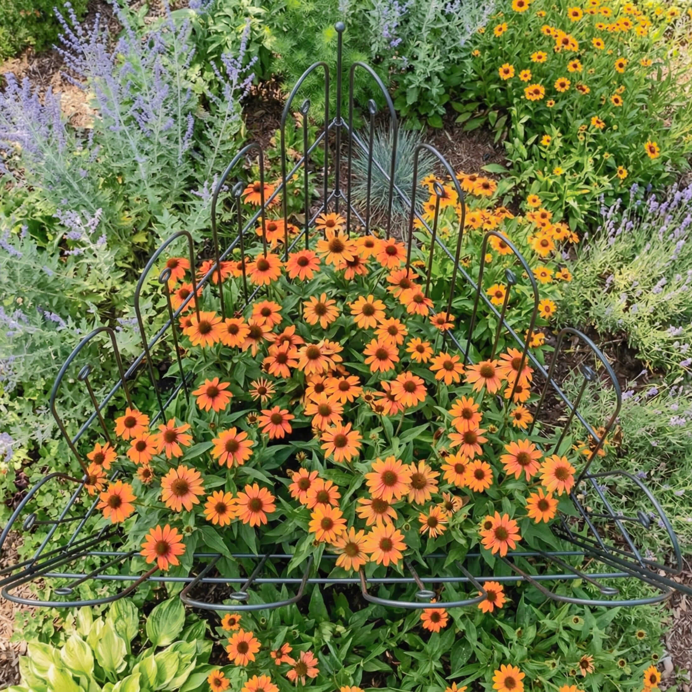 Border Edging - 3 Pack - Image 4