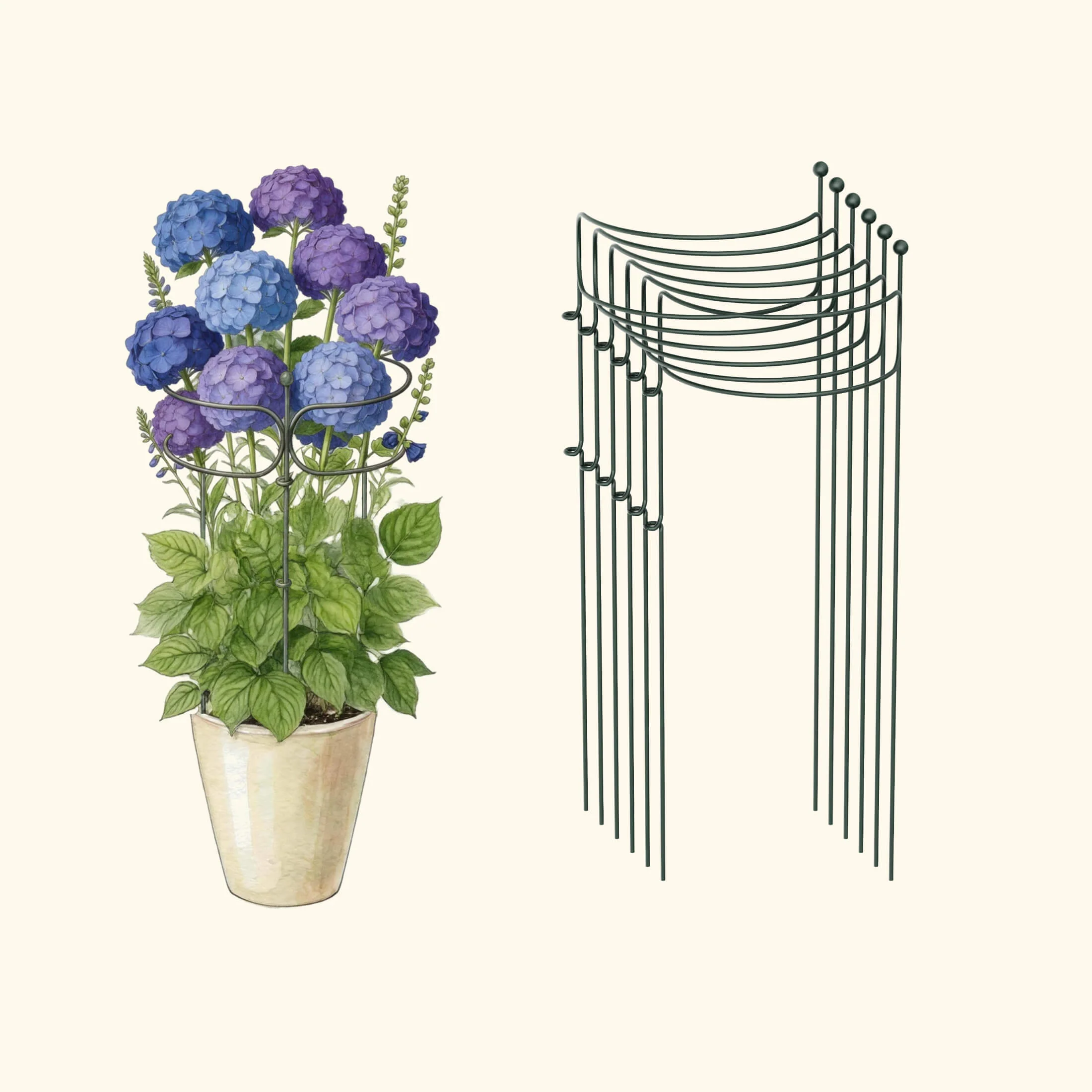 Border Plant Support Curved - 6 Pack - Image 4