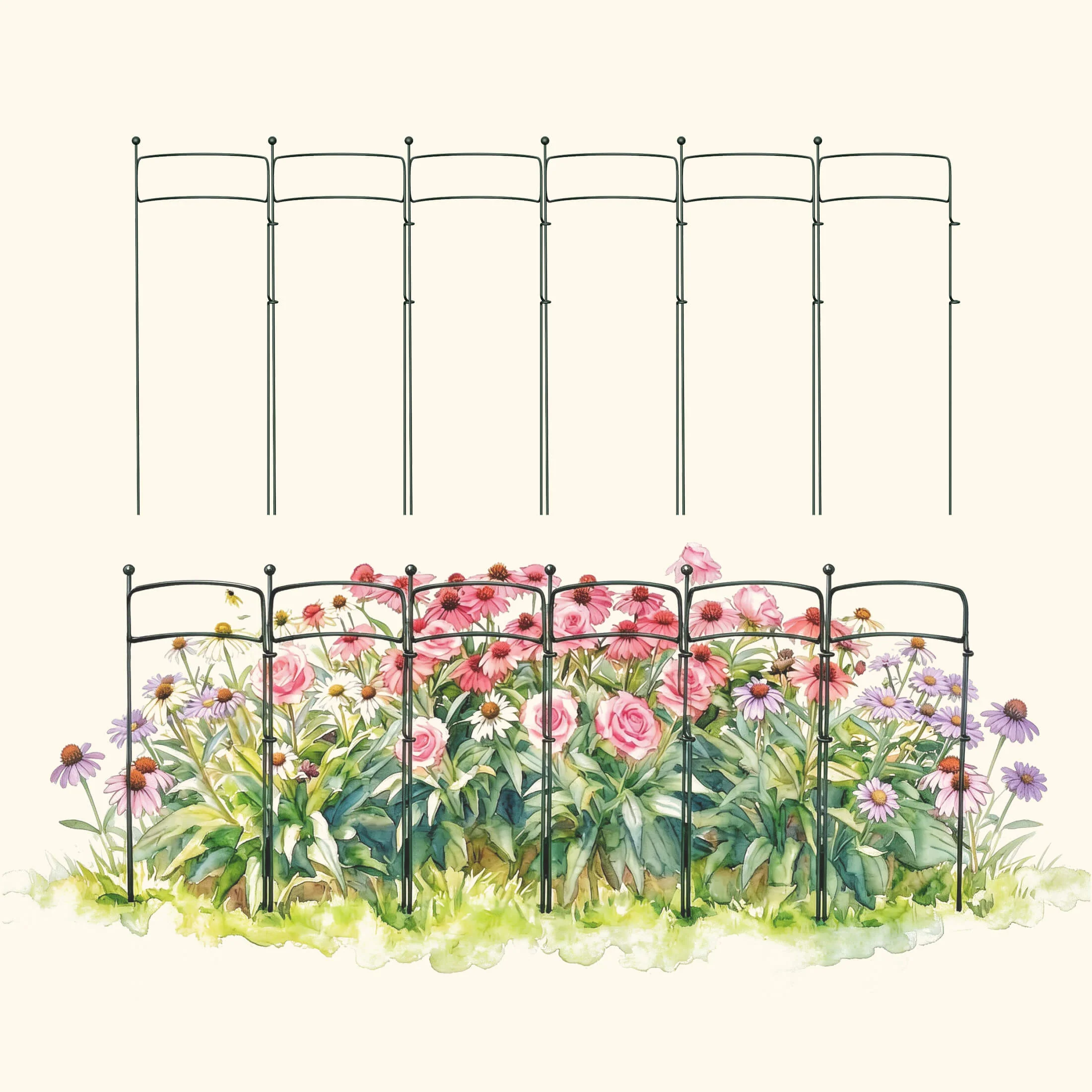 Border Plant Support Curved - 6 Pack - Image 5