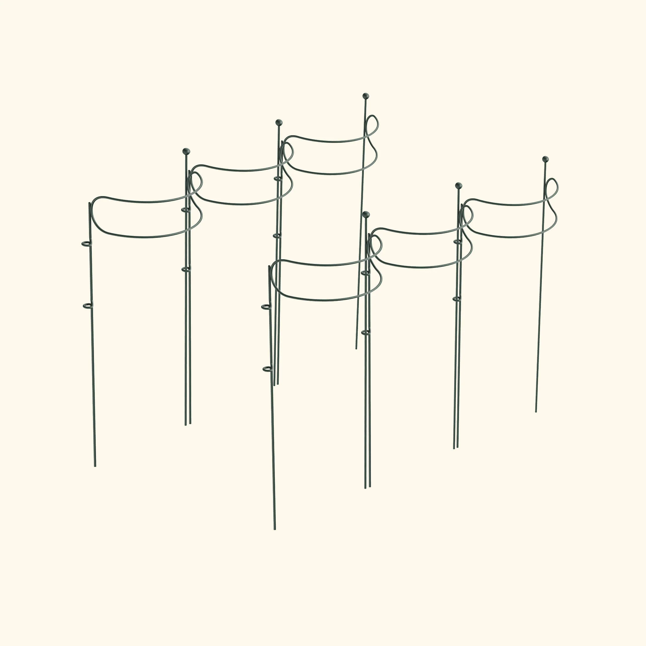 Border Plant Support Curved - 6 Pack - Image 6