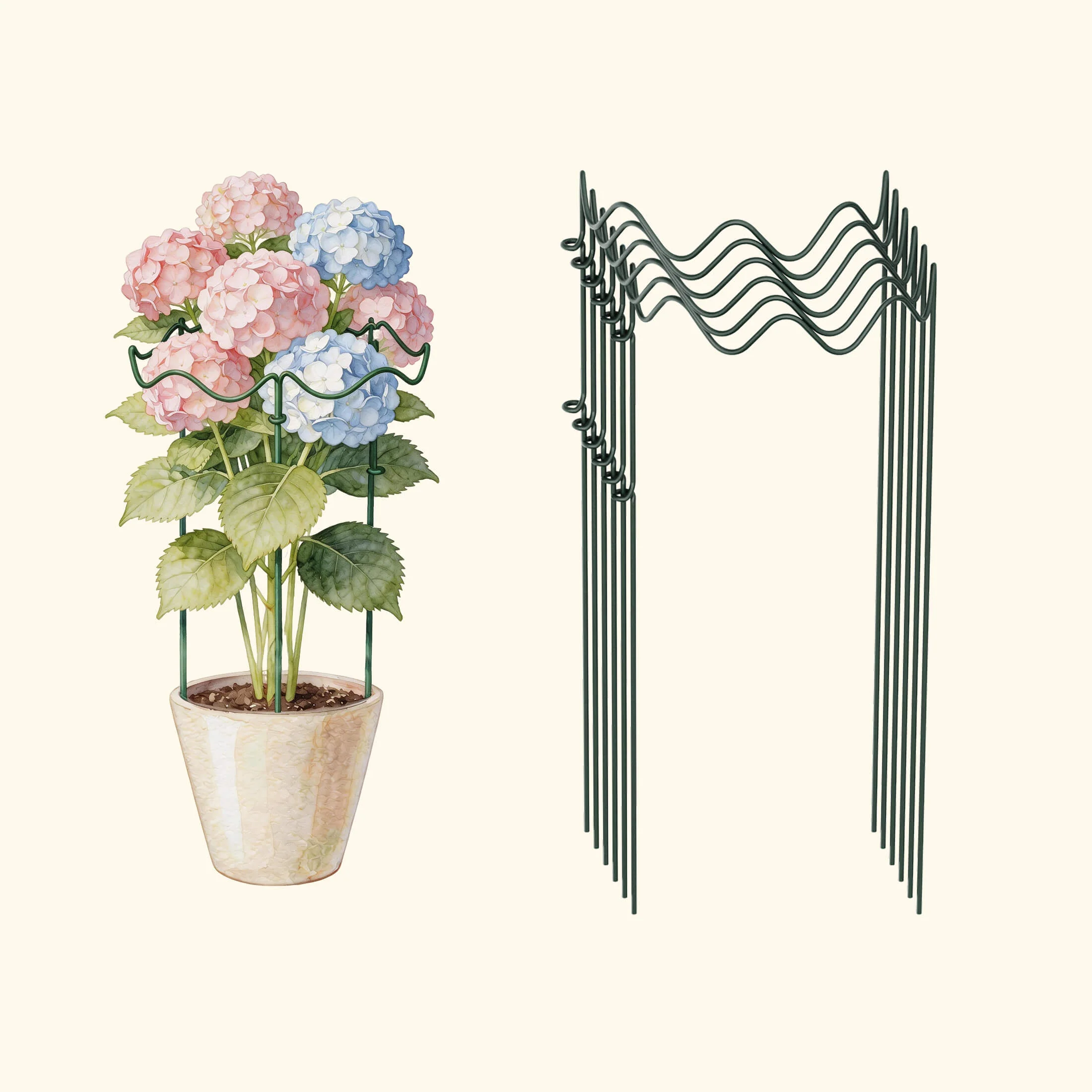 Border Plant Support Wavy - 6 Pack - Image 4