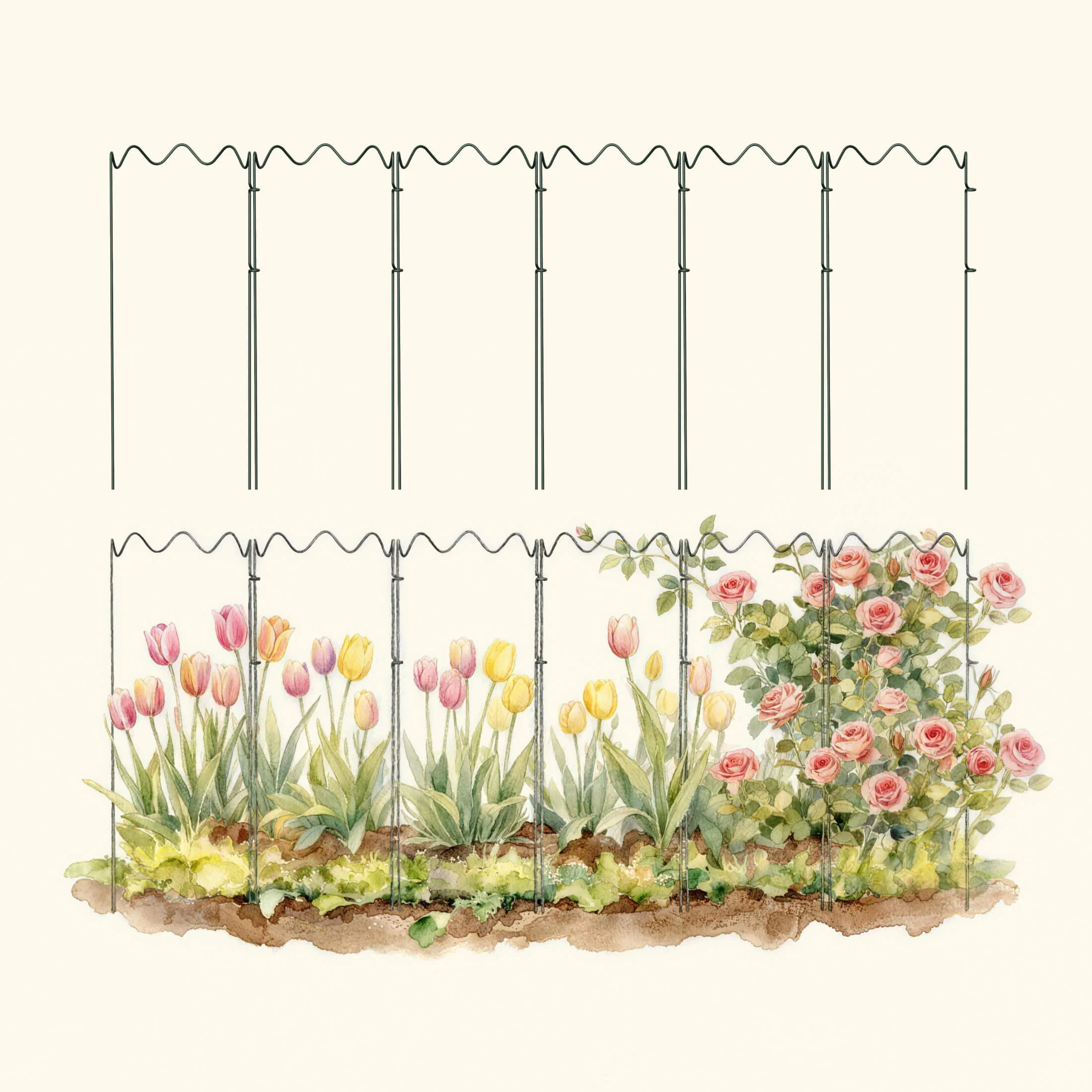 Border Plant Support Wavy - 6 Pack - Image 5
