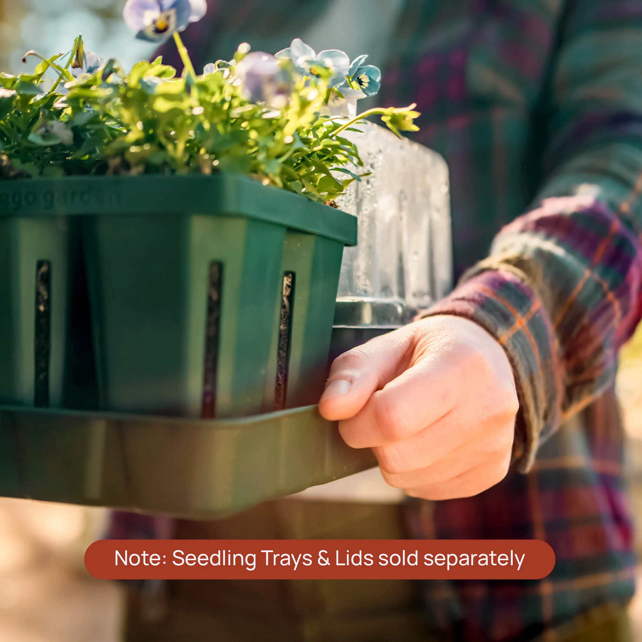 Bottom Watering Tray - Image 8