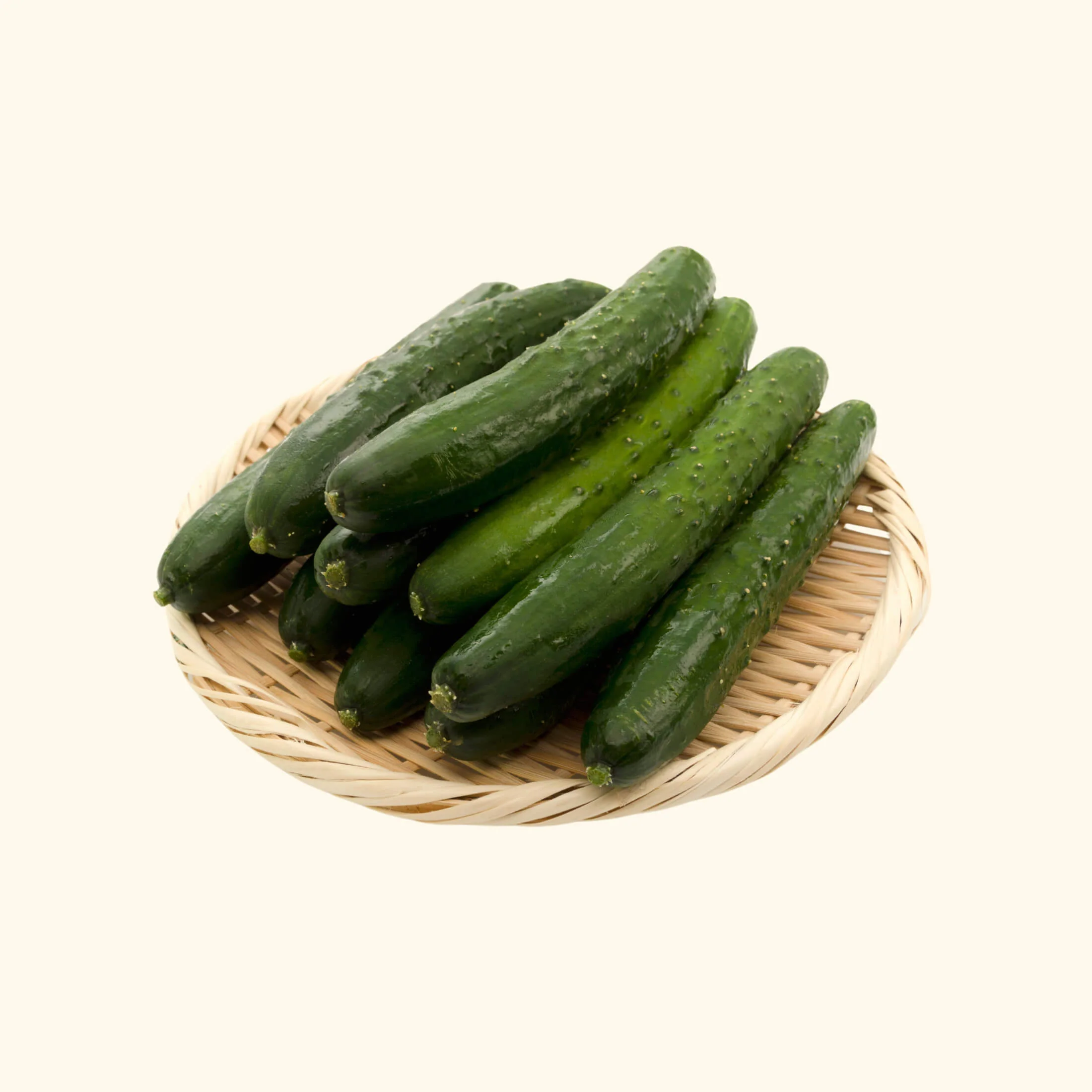 Burpless Cucumber Seedling - Image 5