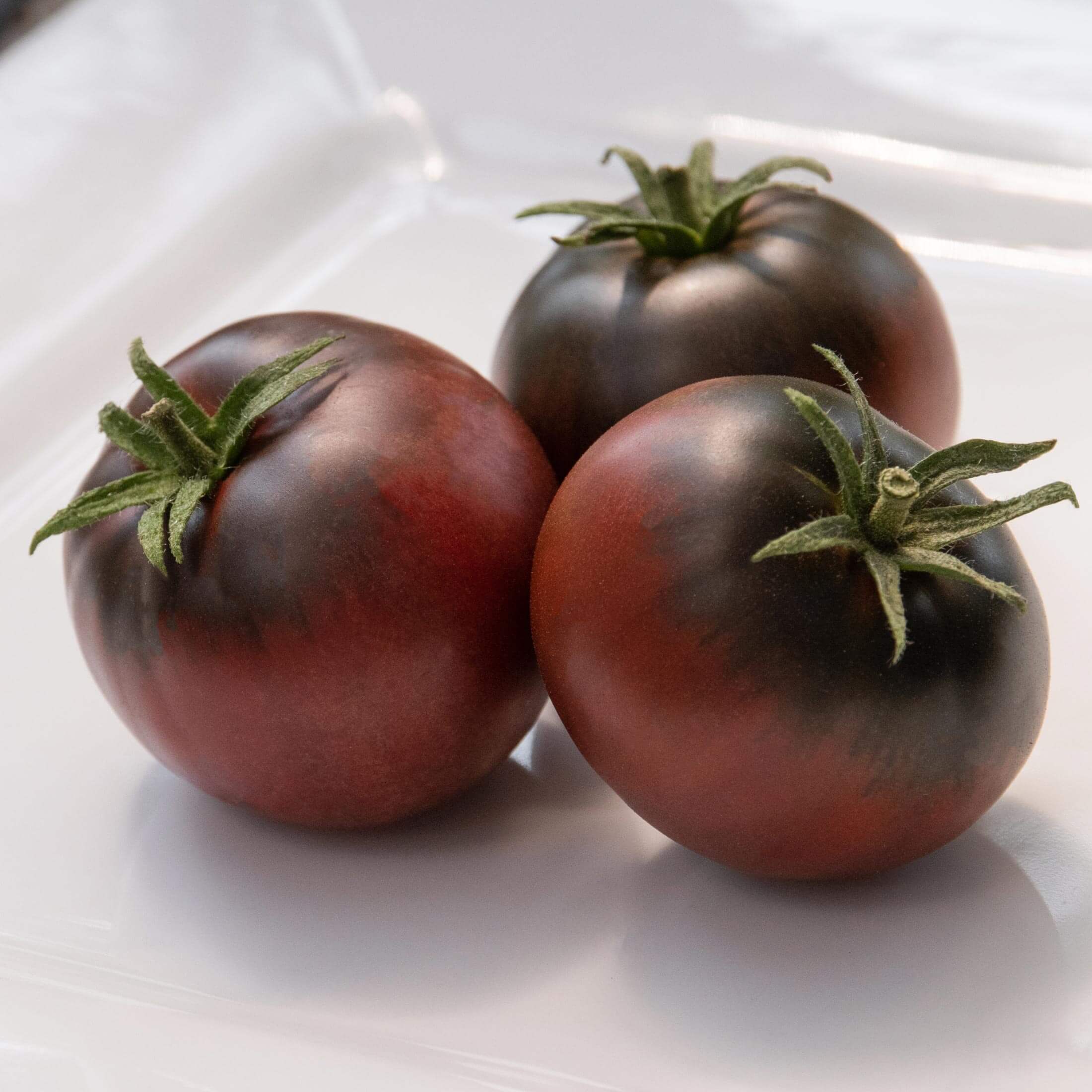 Cherokee Purple Tomato Seedling - Image 5