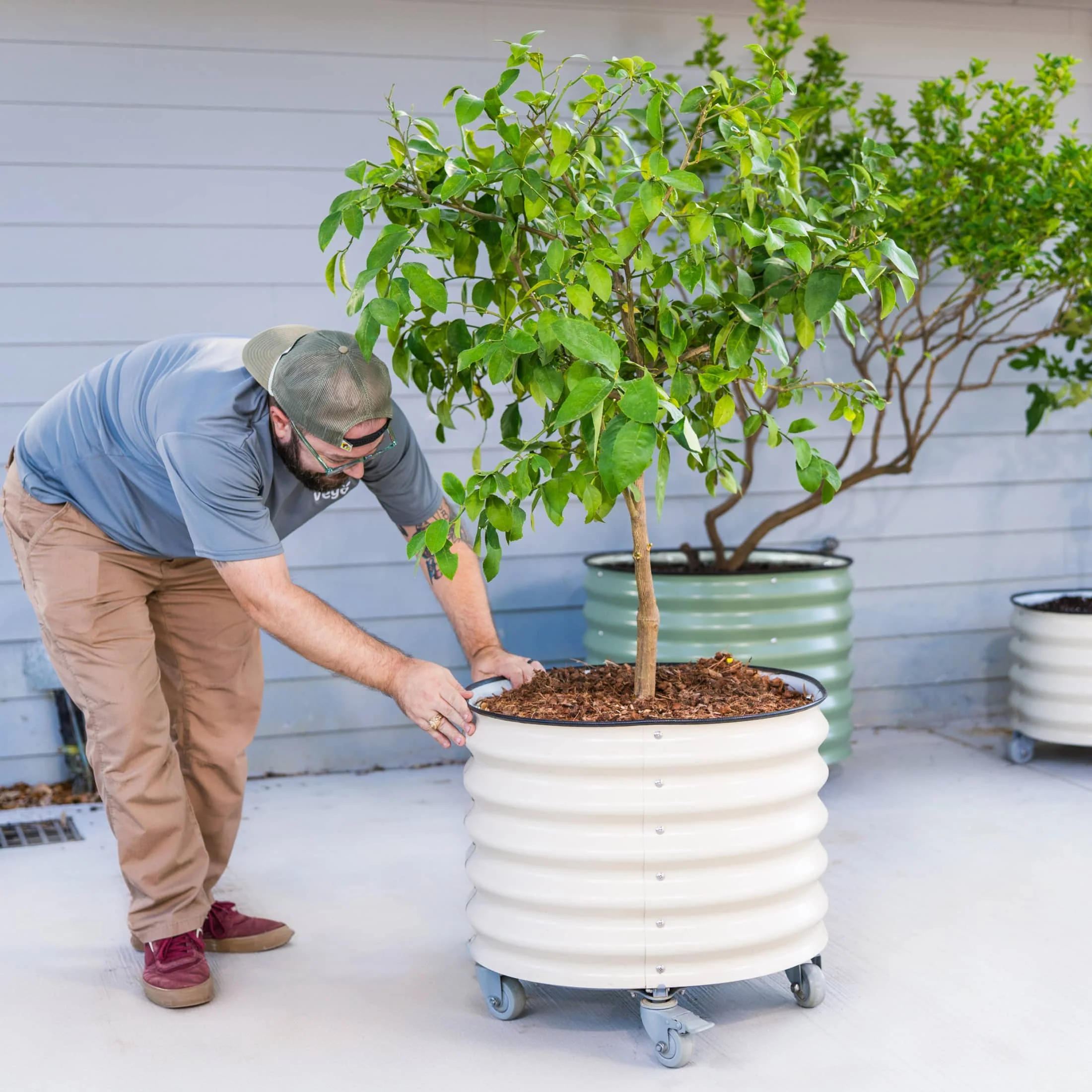 Classic Rolling Citrus Tree Planter - 20 Gallon - Image 16