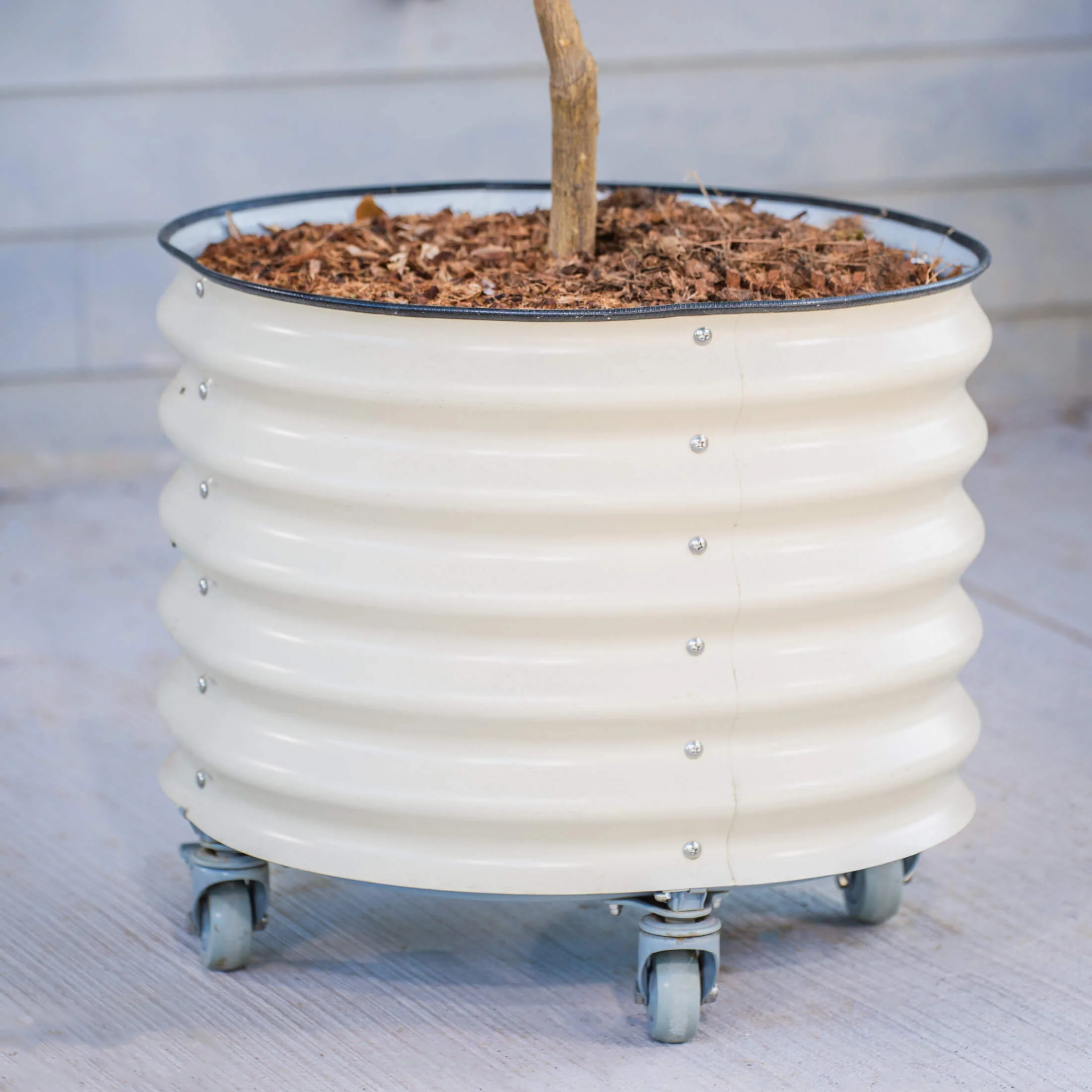 Classic Rolling Citrus Tree Planter - 20 Gallon - Image 19