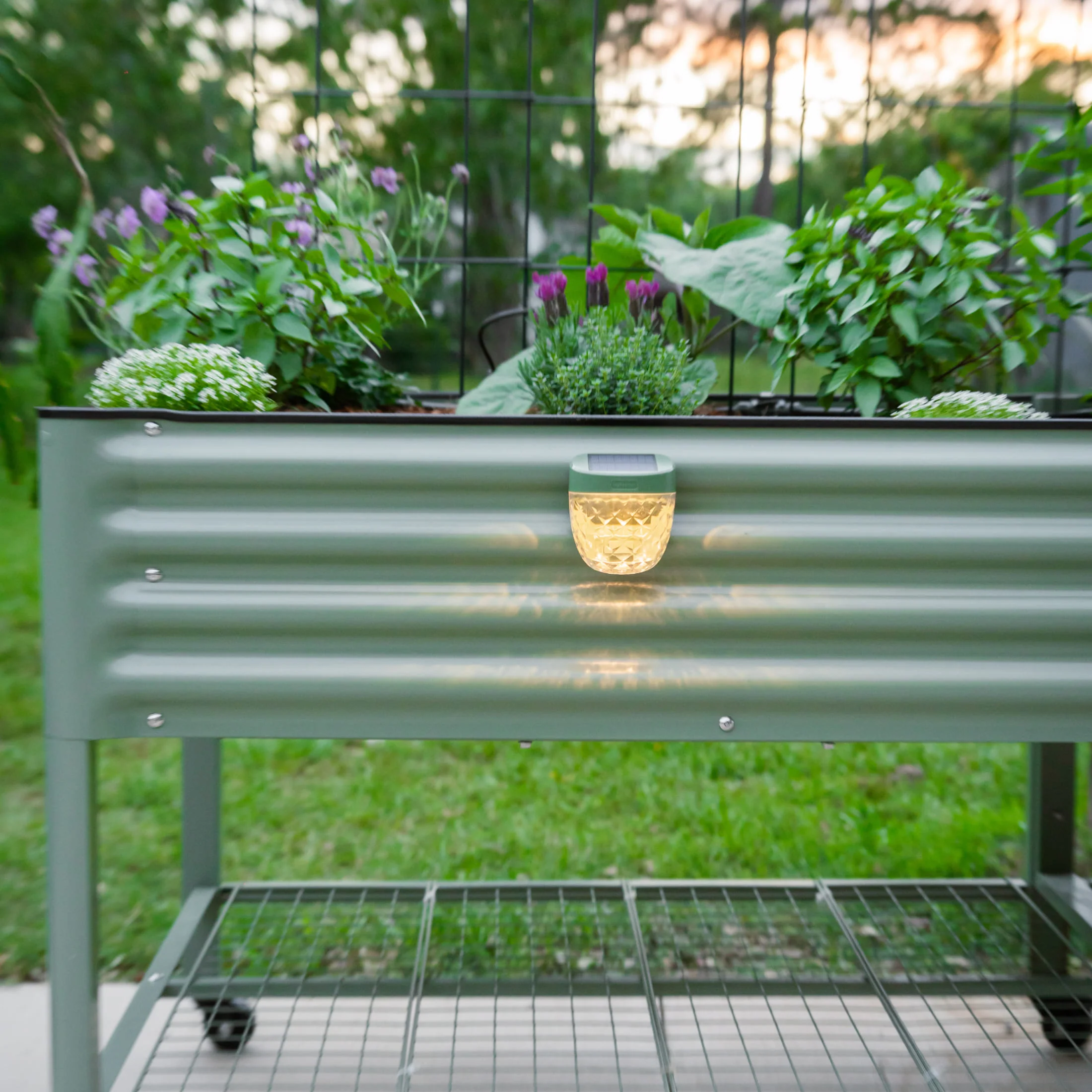 Diamond Garden Solar Light - Classic Mount - Image 22