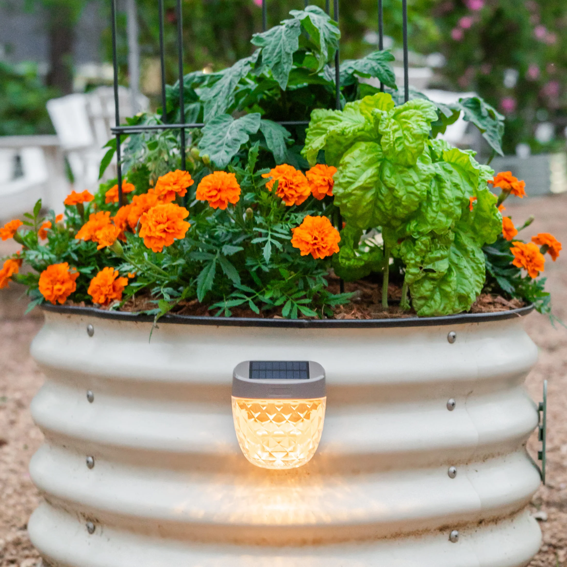 Diamond Garden Solar Light - Classic Mount - Image 8