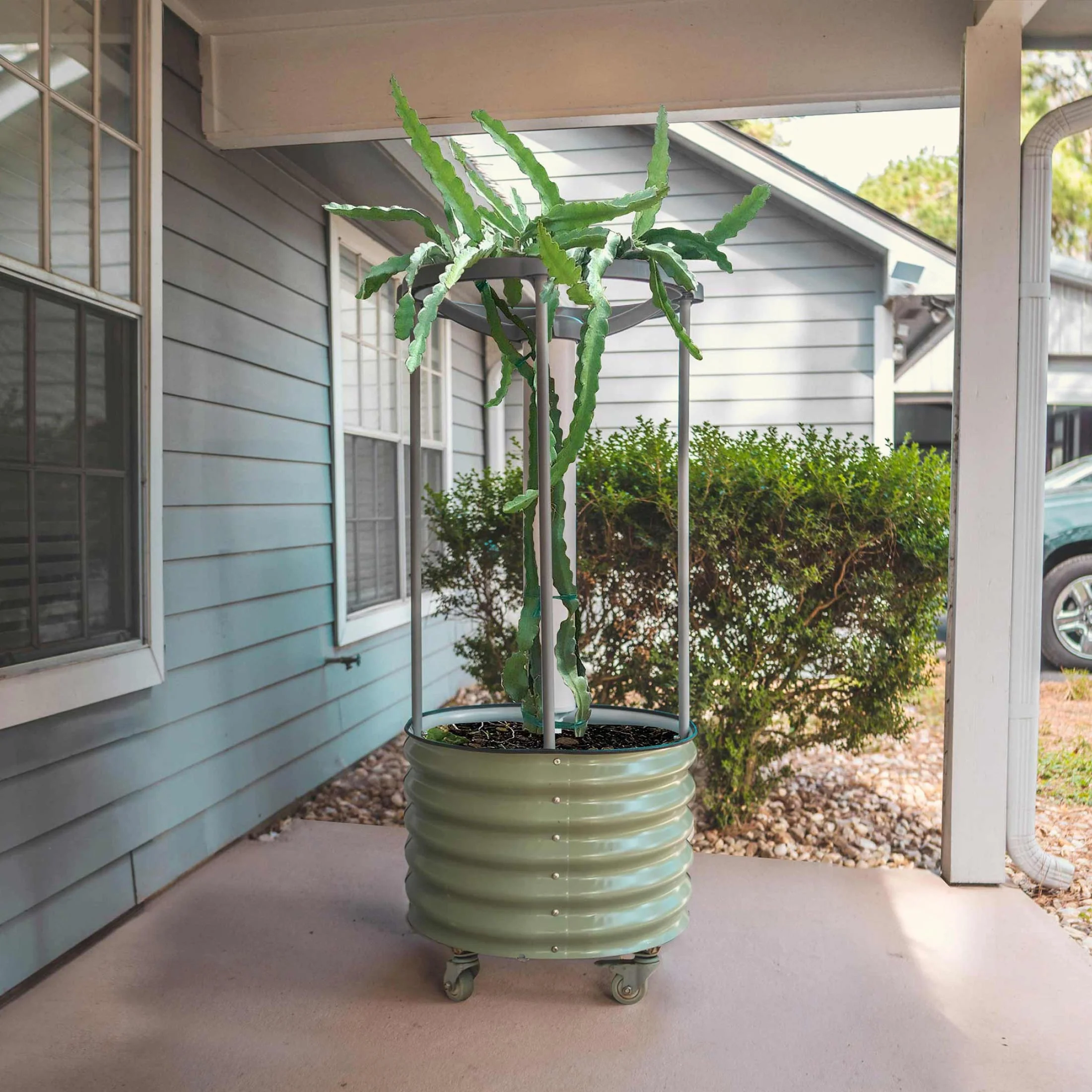 Dragon Fruit Planter Bundle - Image 6