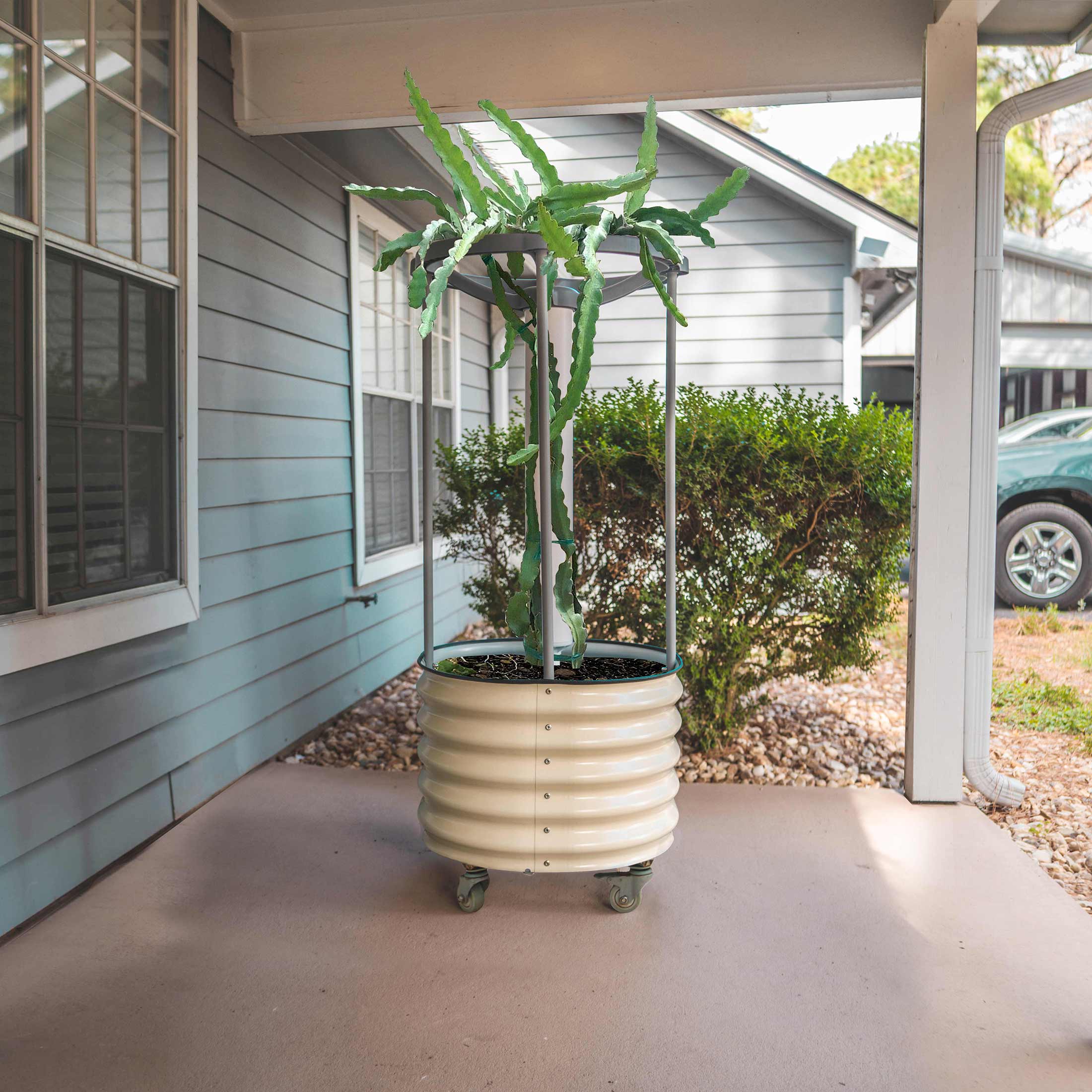 Classic Rolling Dragon Fruit Planter - Image 4