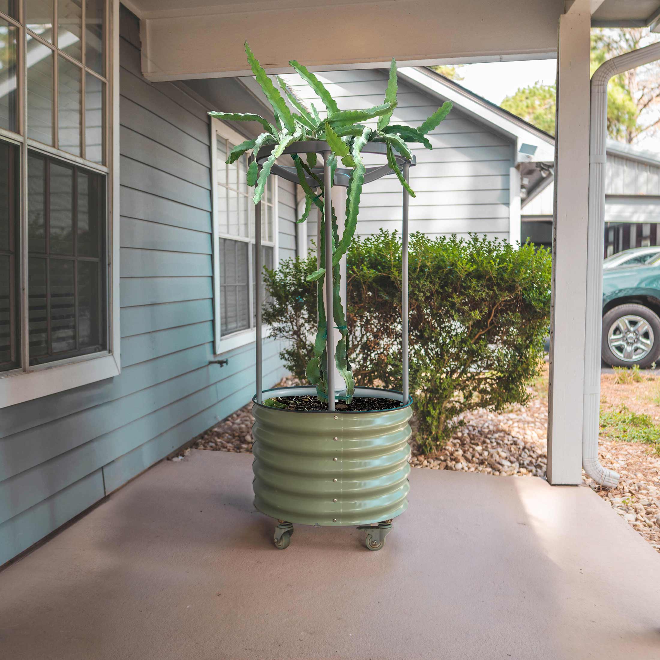 Classic Rolling Dragon Fruit Planter - Image 5