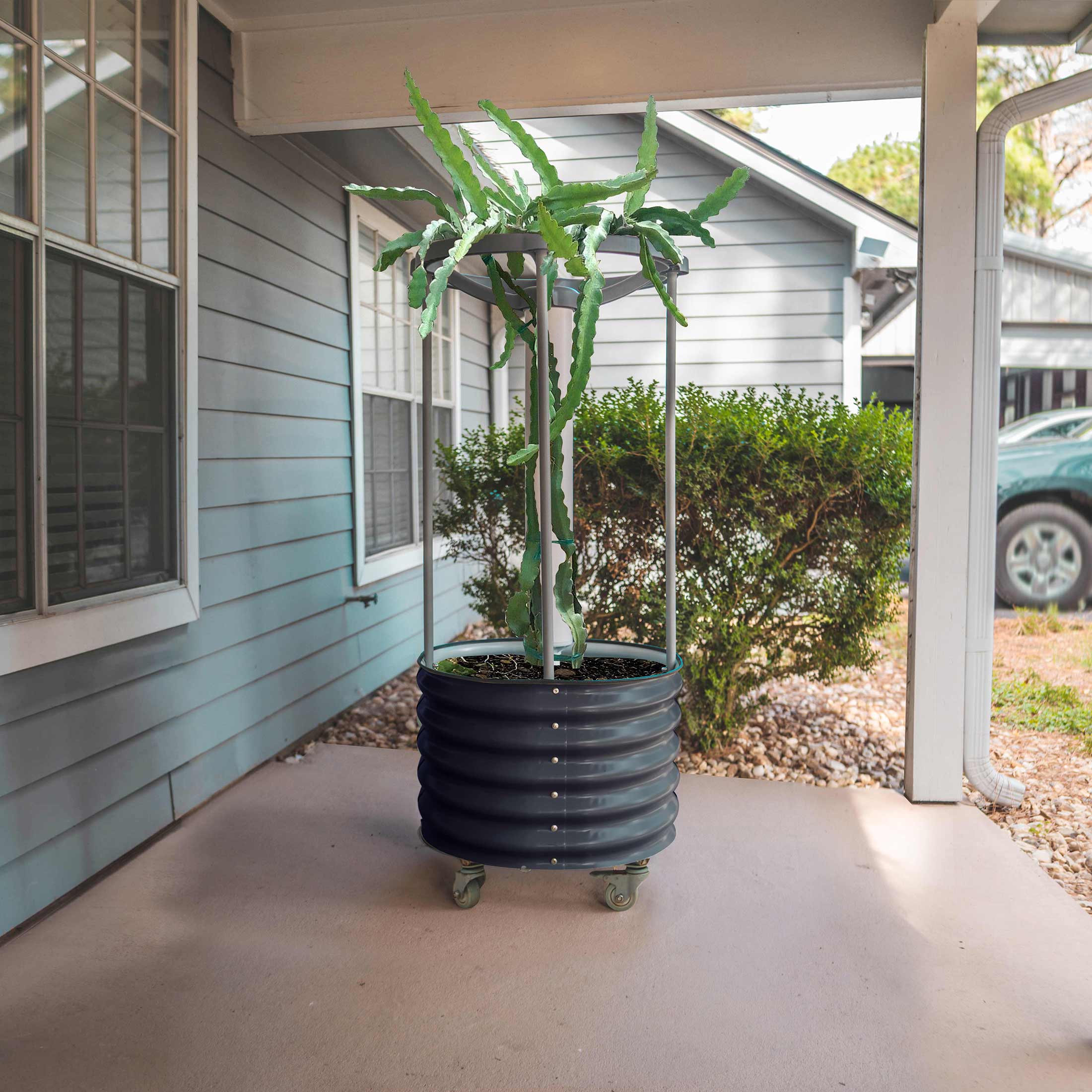 Classic Rolling Dragon Fruit Planter - Image 6
