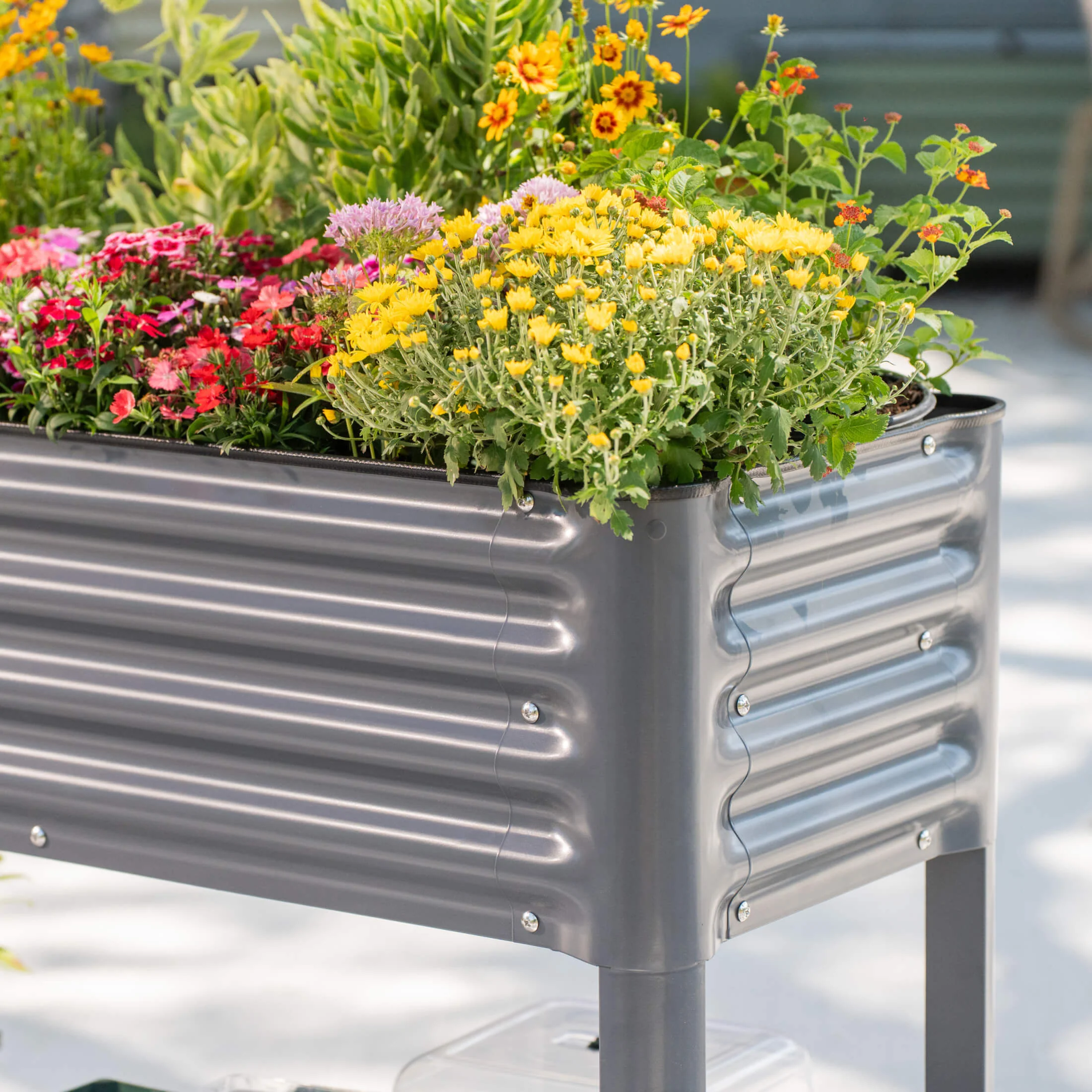 Elevated Garden Bed - Slim Series 1.5' x 5.5' Wheels Included - Image 15