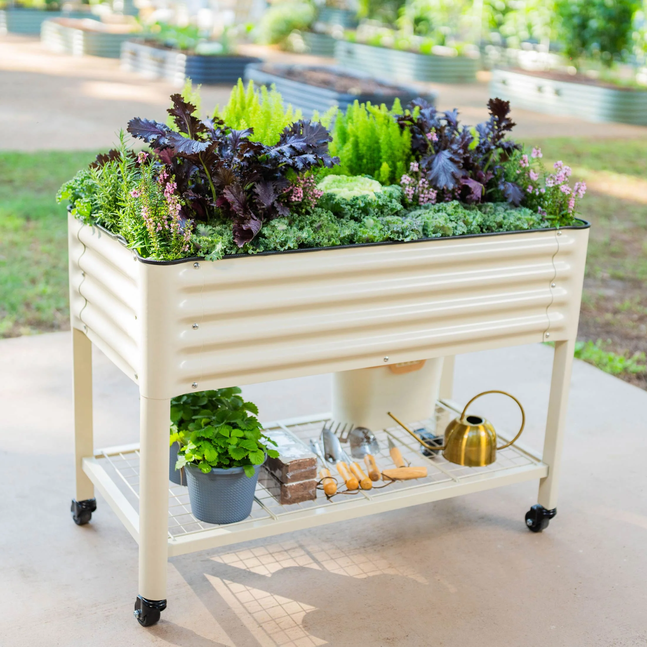 Elevated Garden Bed - 2' x 4' Wheels Included - Image 17