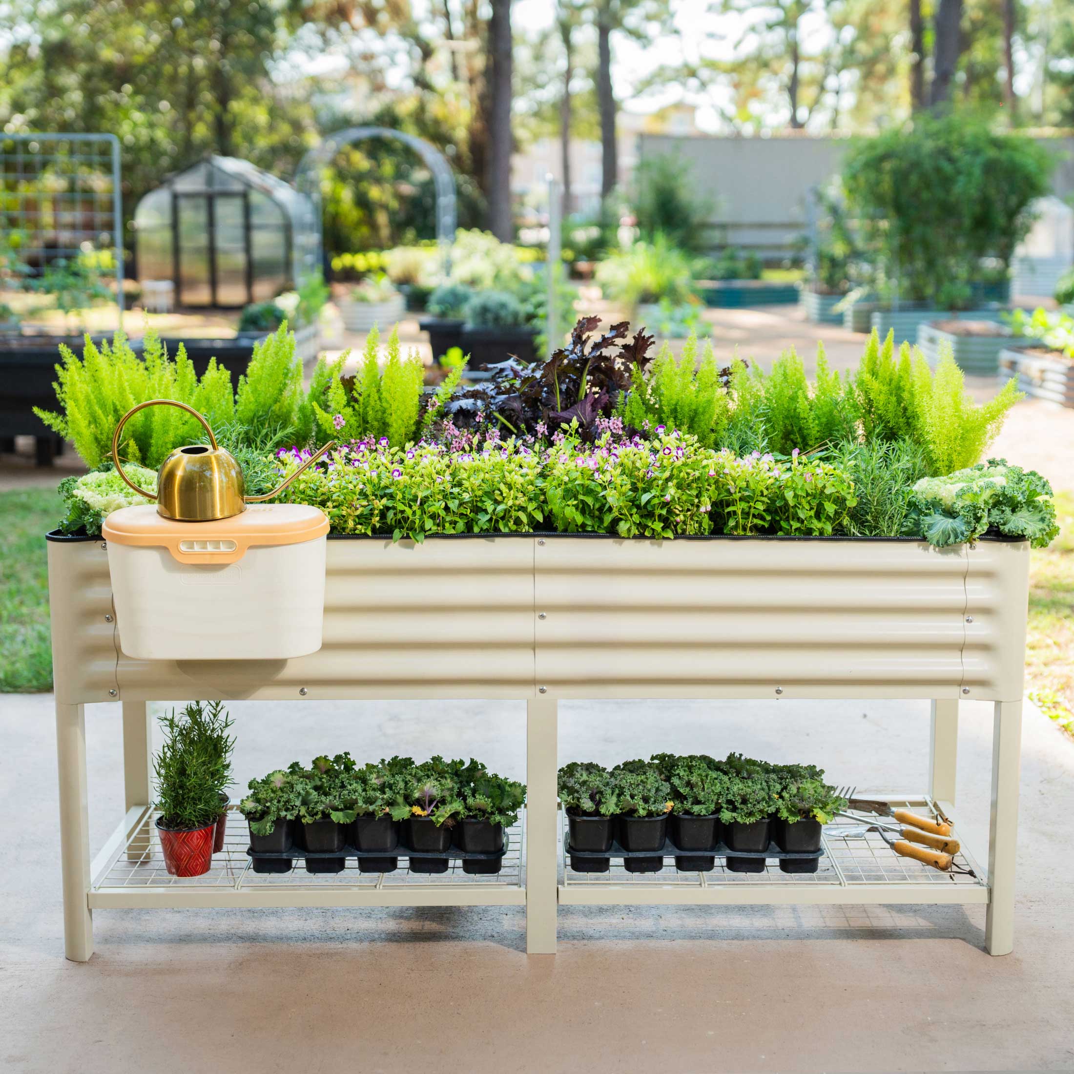 Elevated Garden Bed - 2' x 6' Wheels Included - Image 15