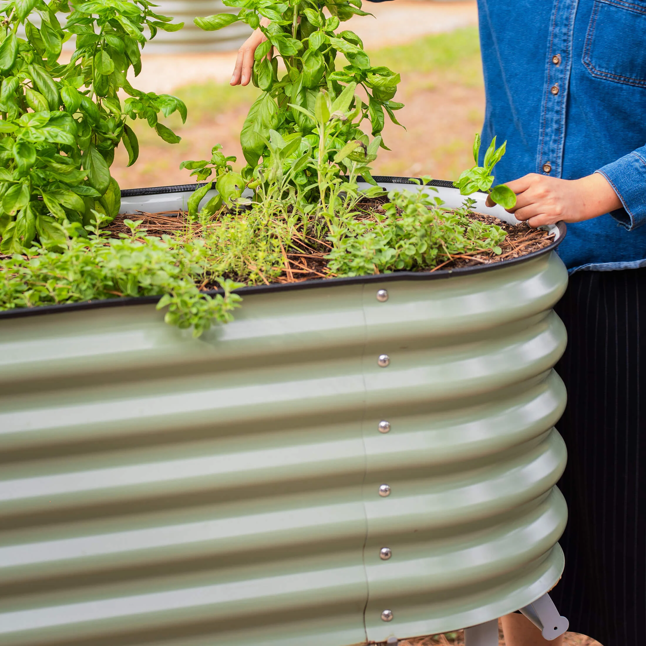 Self-Watering Elevated Garden Bed - Image 10