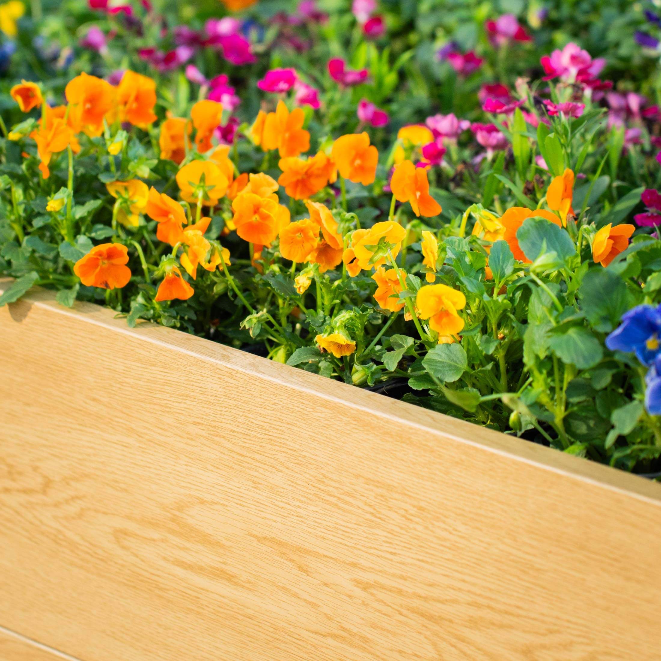 16" Tall Woodgrain 4' x 4' Metal Raised Garden Bed - Image 11