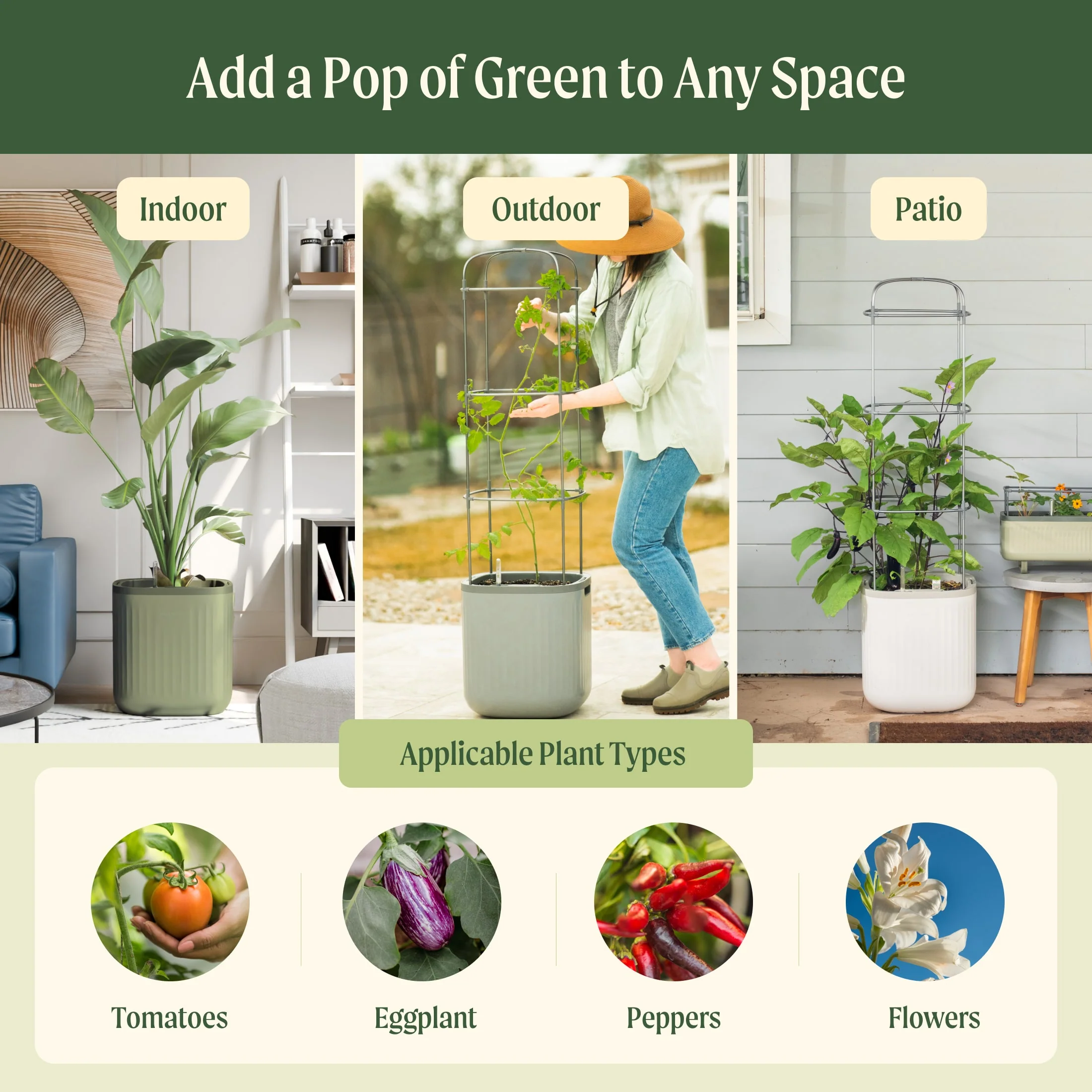 EZ Self-Watering Tomato Planter with Trellis - Image 8